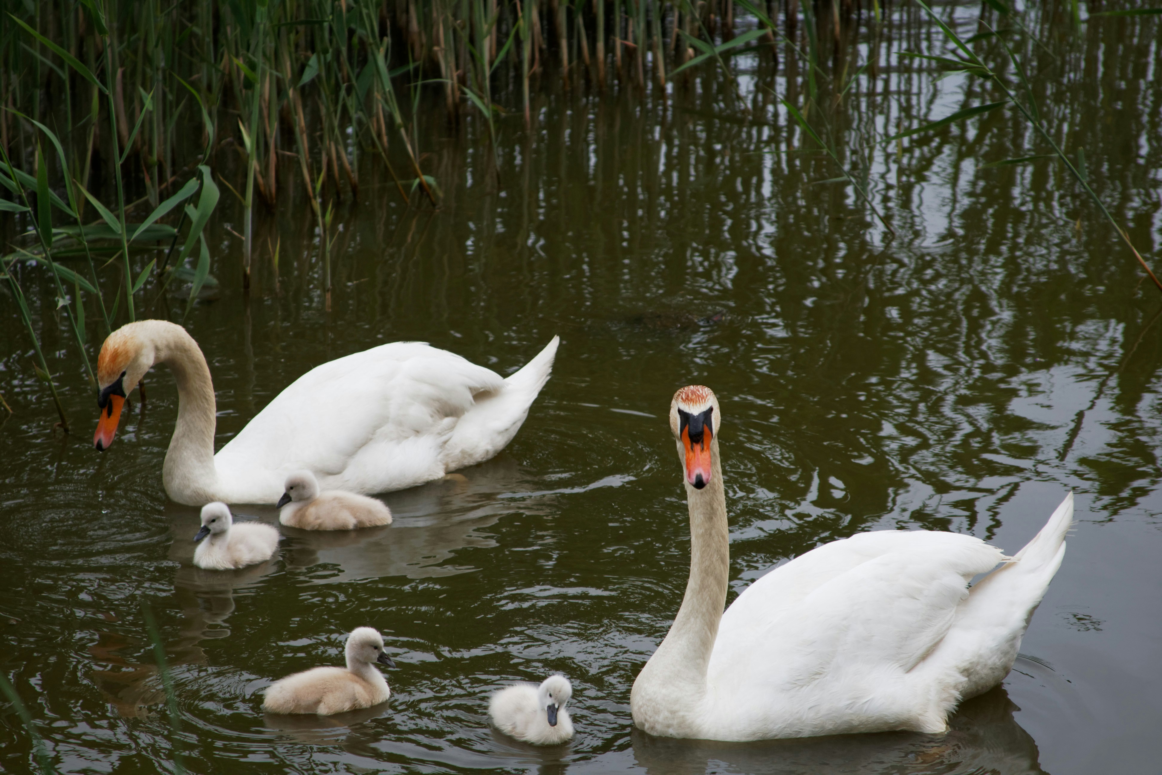 Photo by da_shika_photo