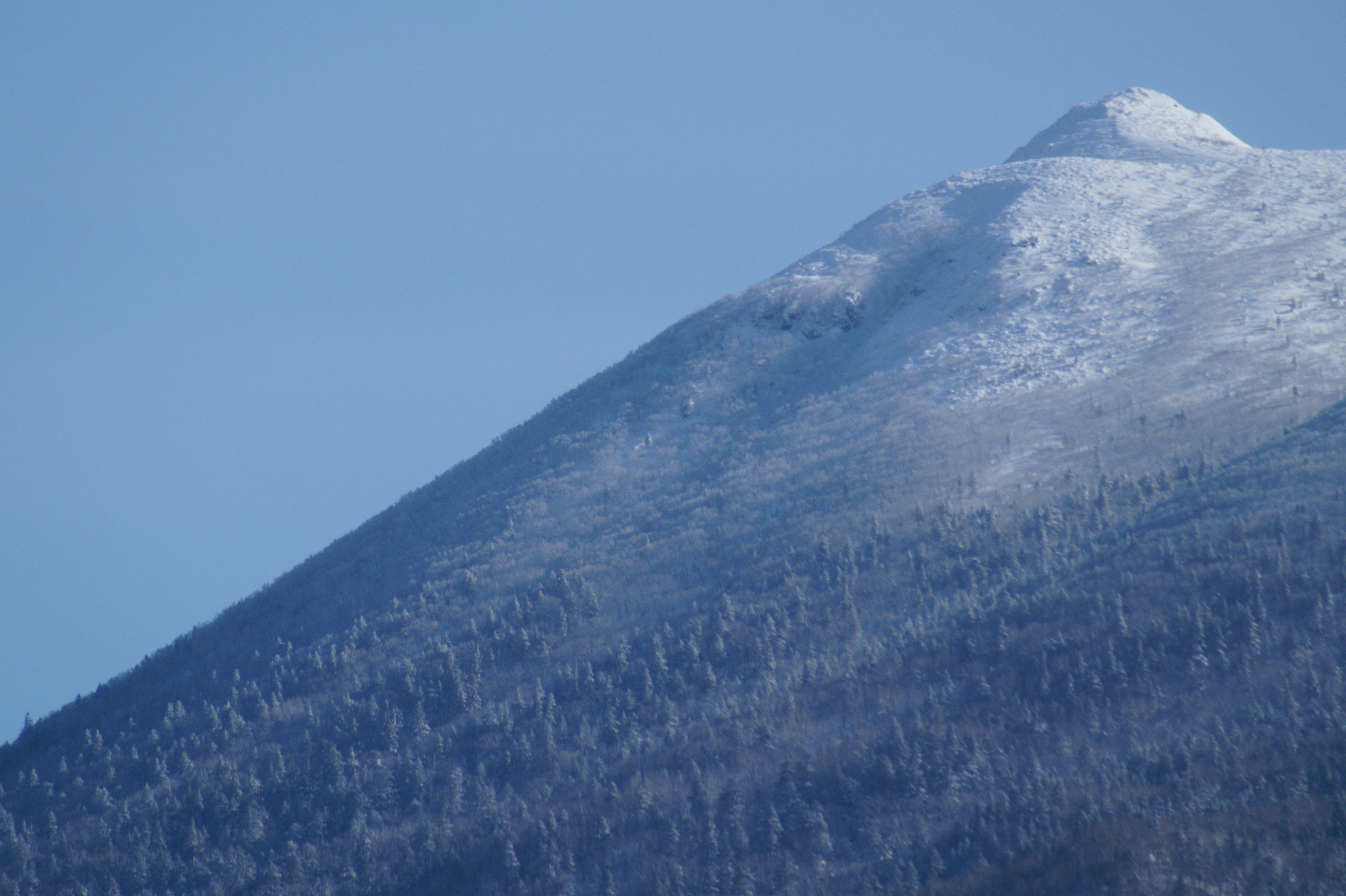 Photo by da_shika_photo