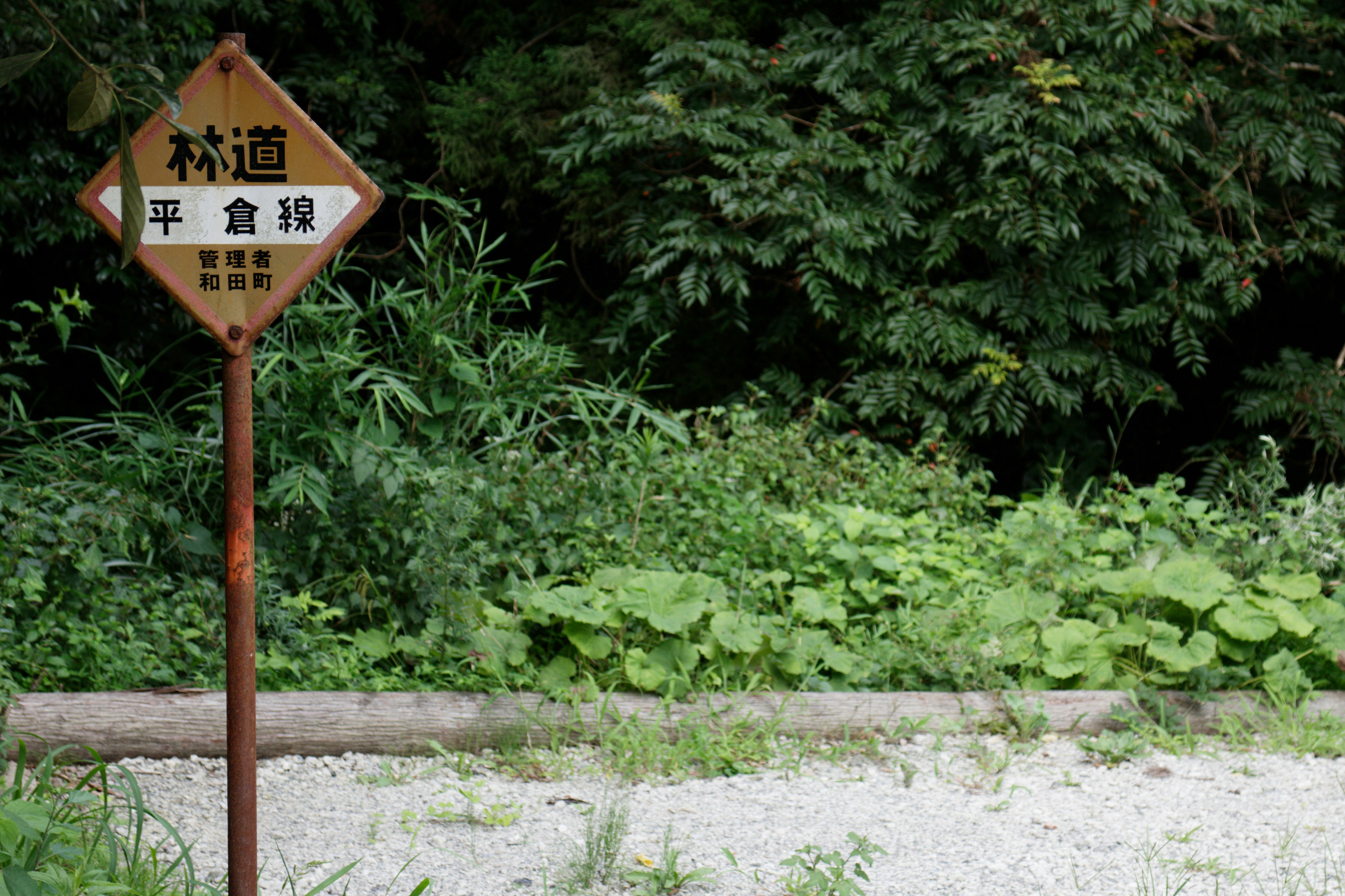 Photo by da_shika_photo