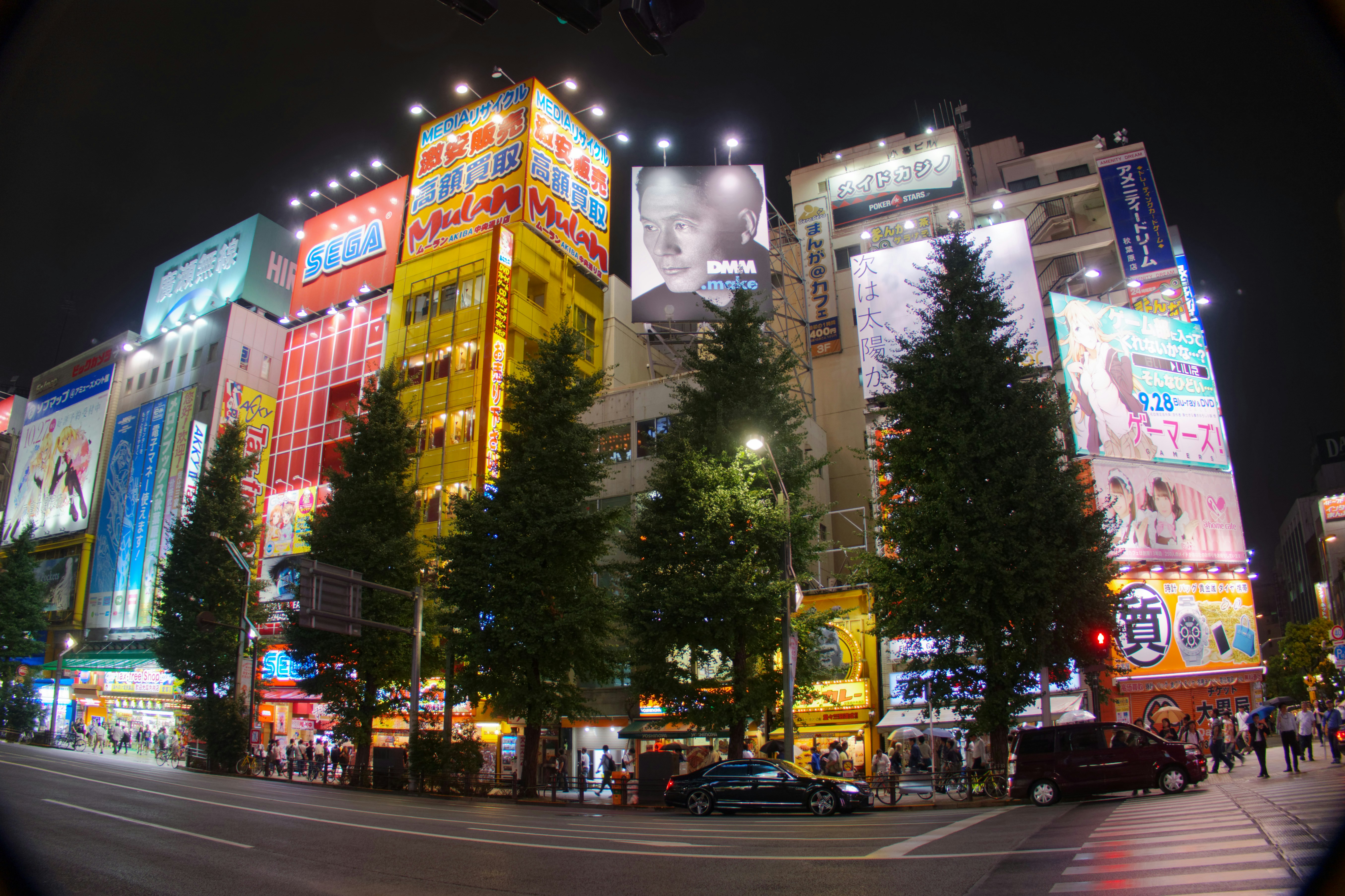 Japan Year-End Hobby Hauls: Niche Items Beyond Fukubukuro