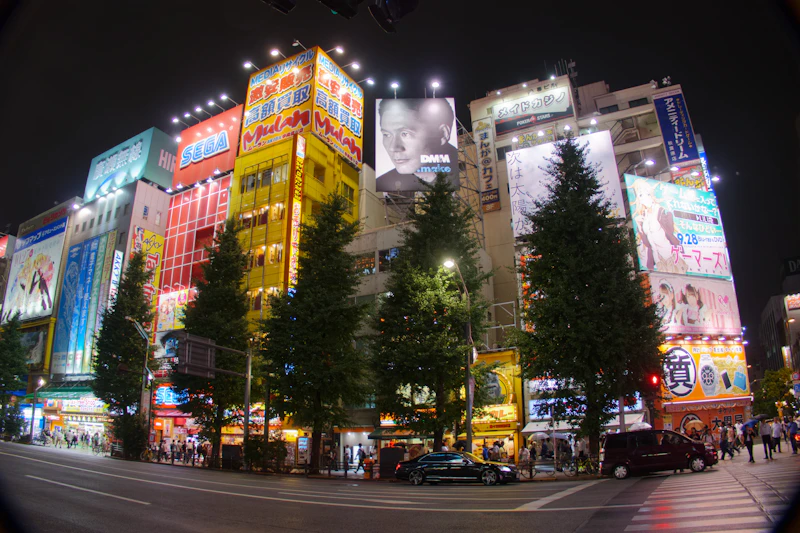 Shopping in Akihabara: Electronics, Anime & Gaming Deals