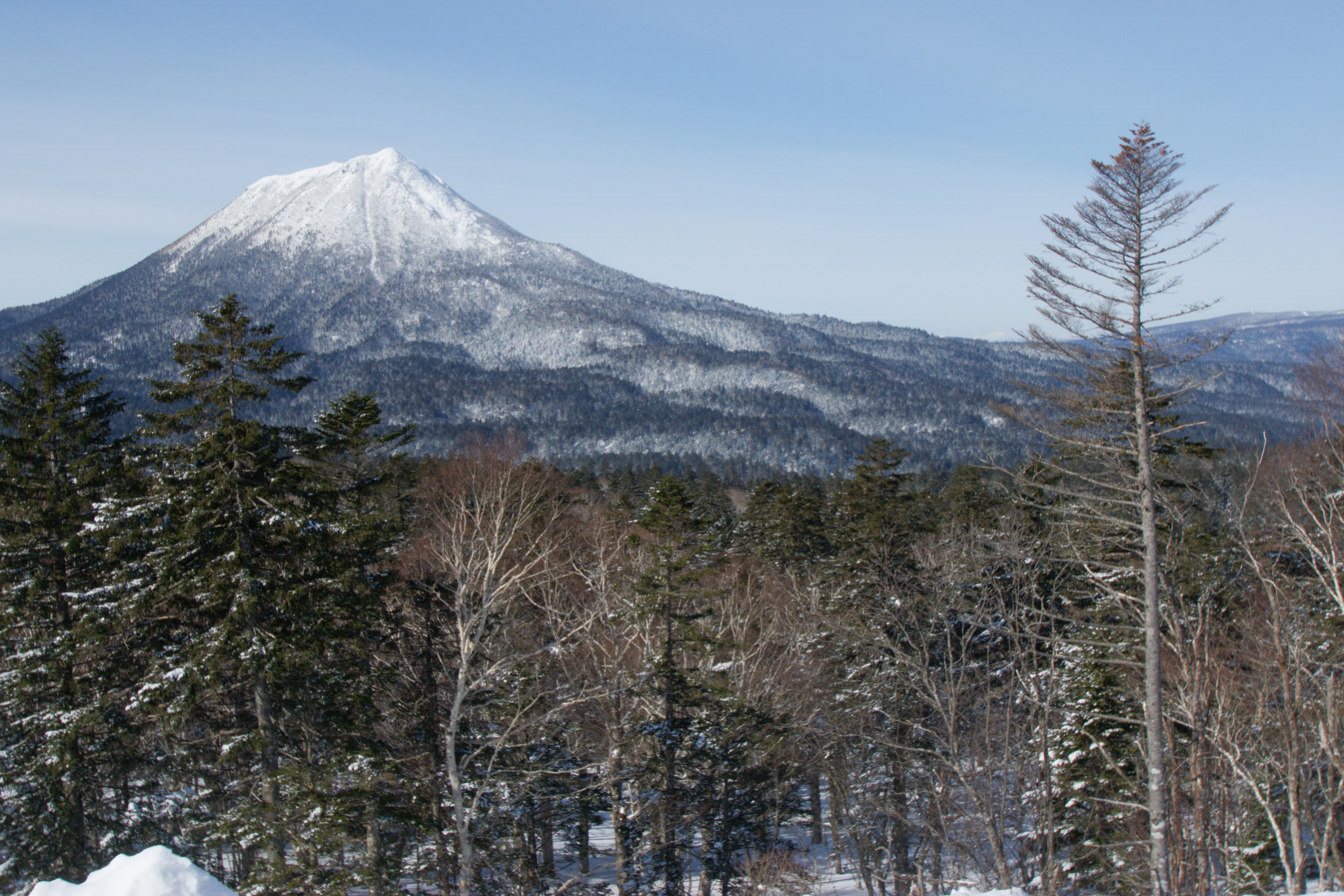 Photo by da_shika_photo