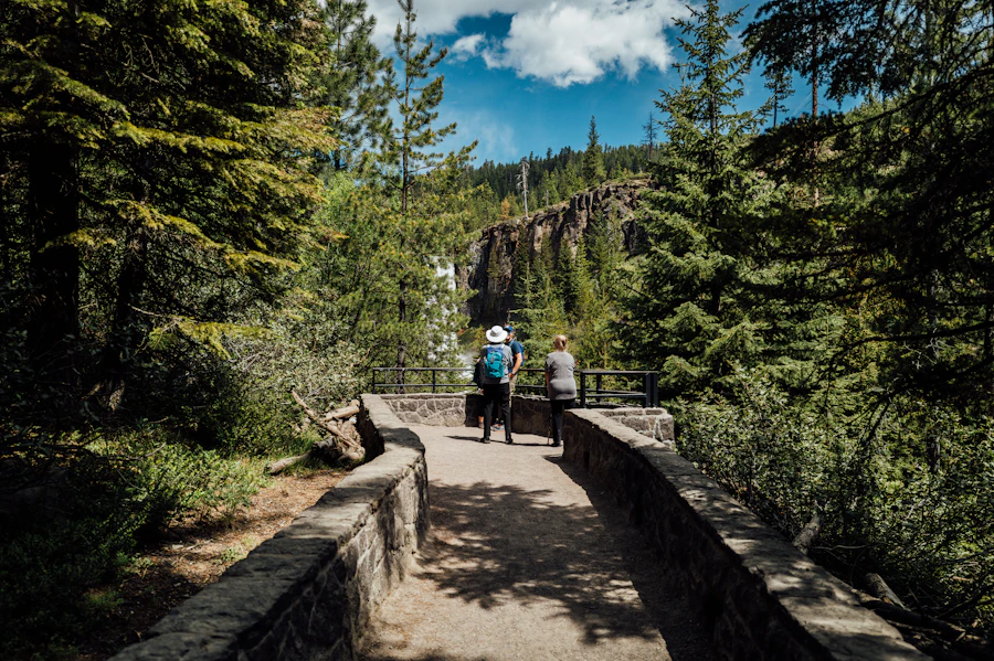 Hikers on a stone-walled path through pines and canyon