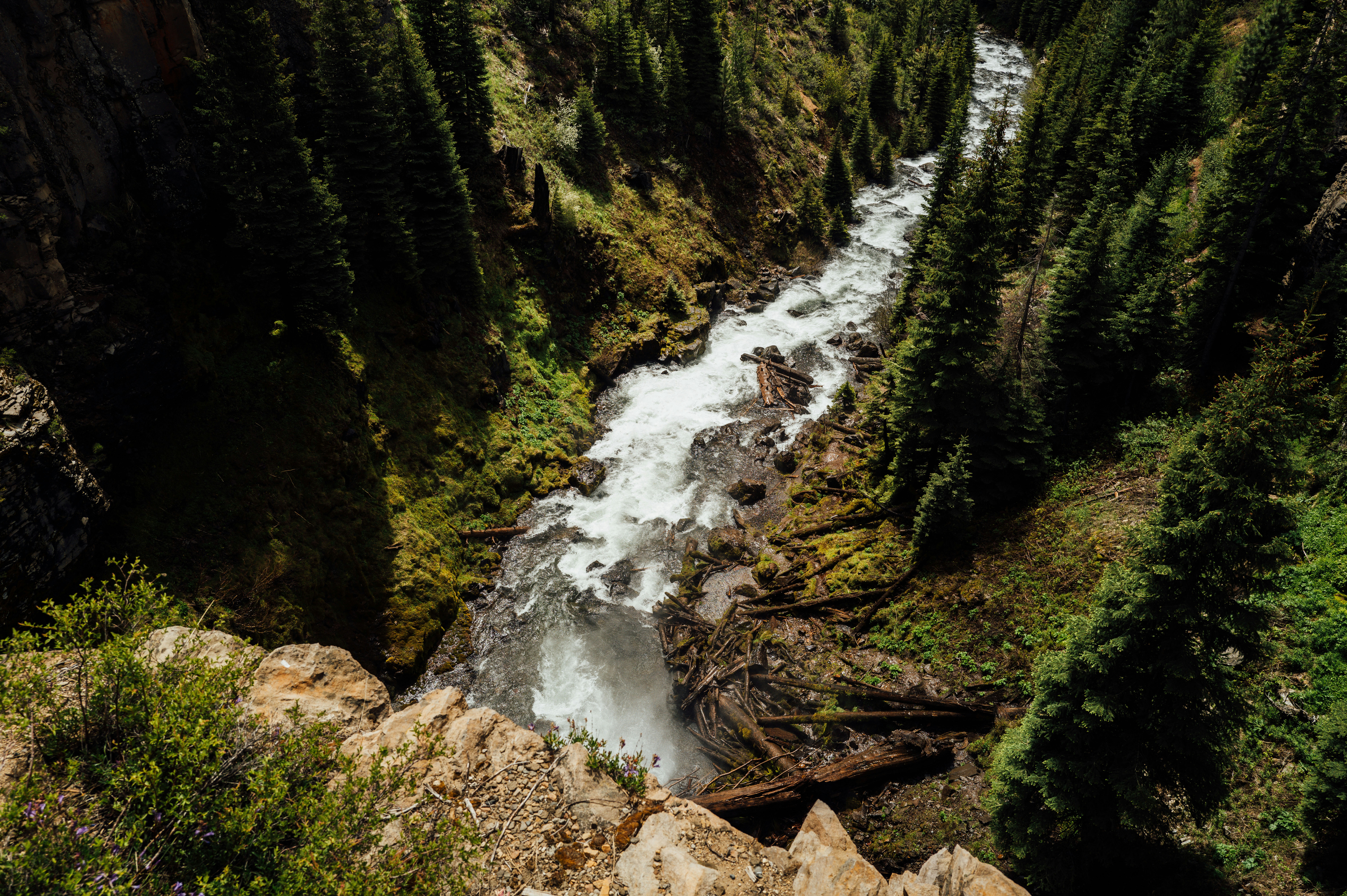 Photo by migueldominguez