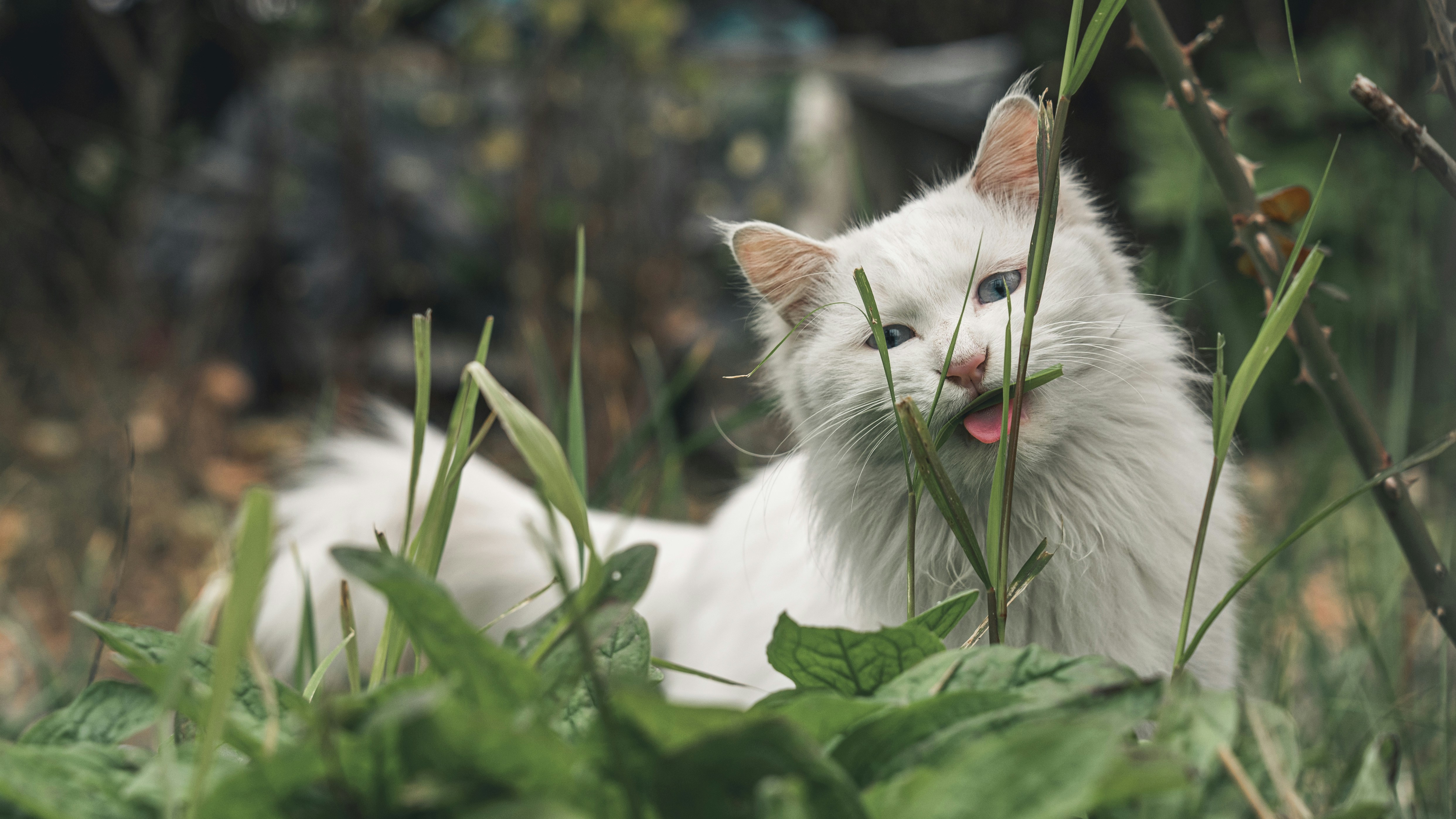 Photo by peek_a_boo_who