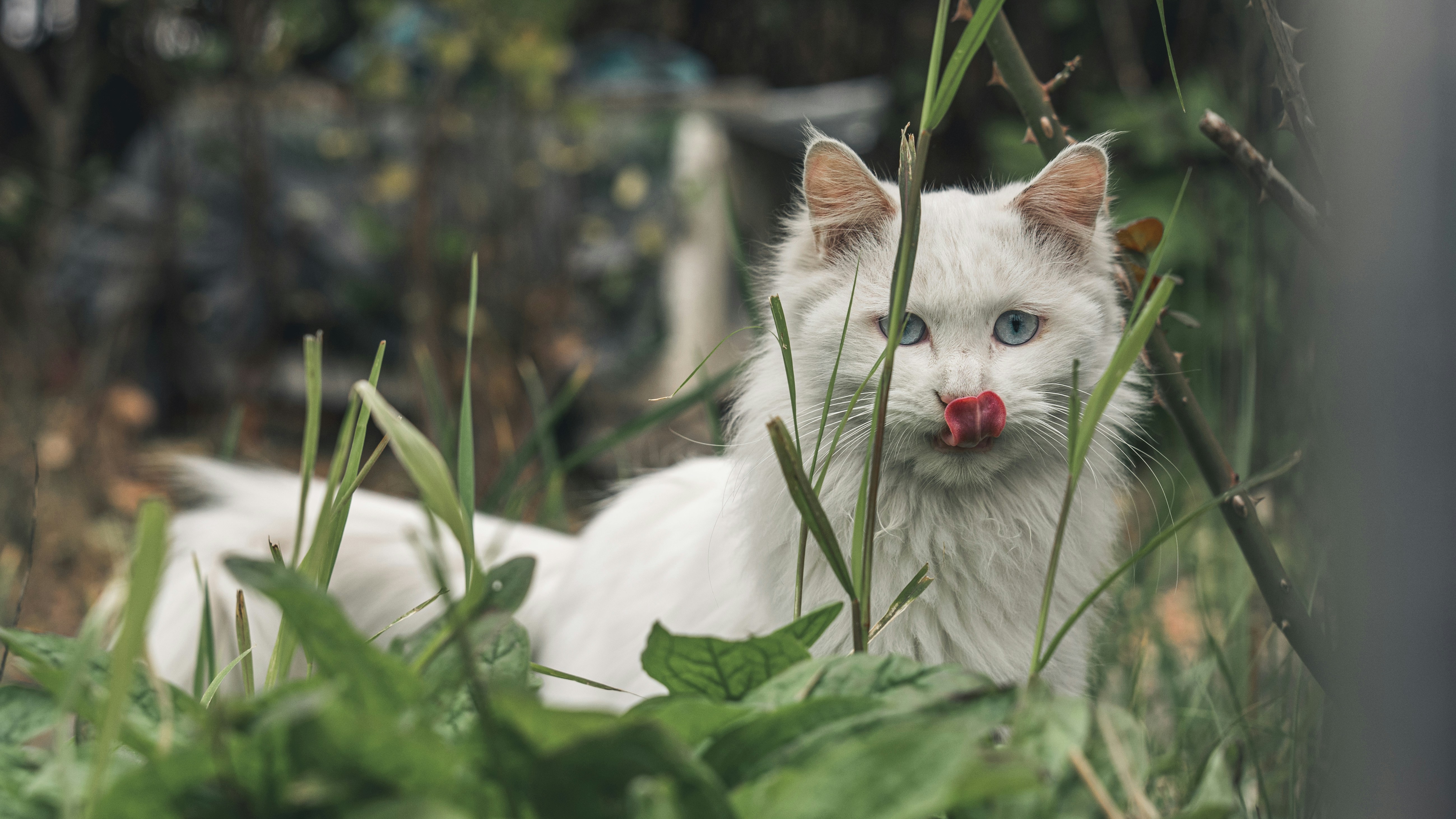 Photo by peek_a_boo_who