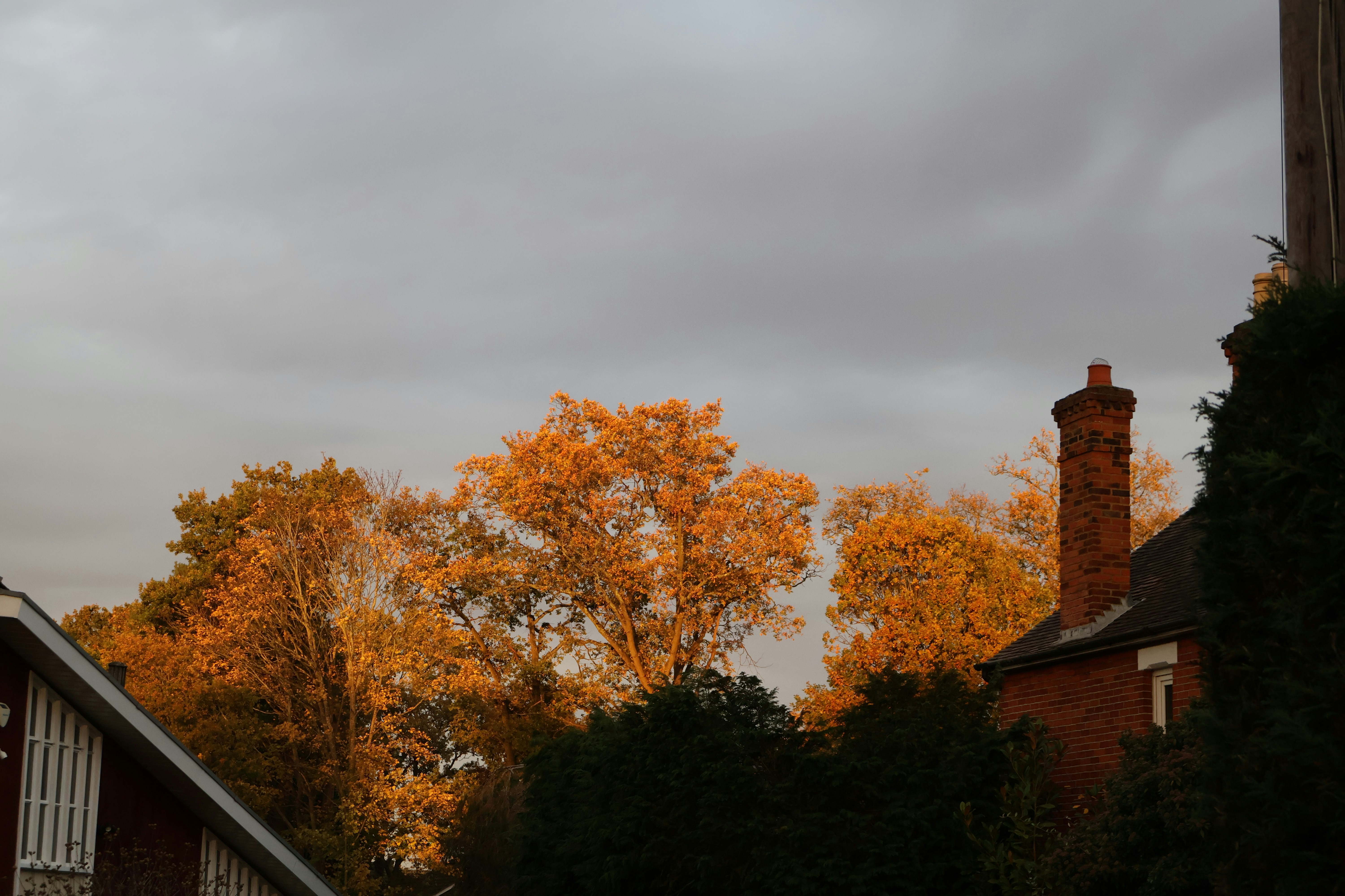 Photo by tanyabarrow