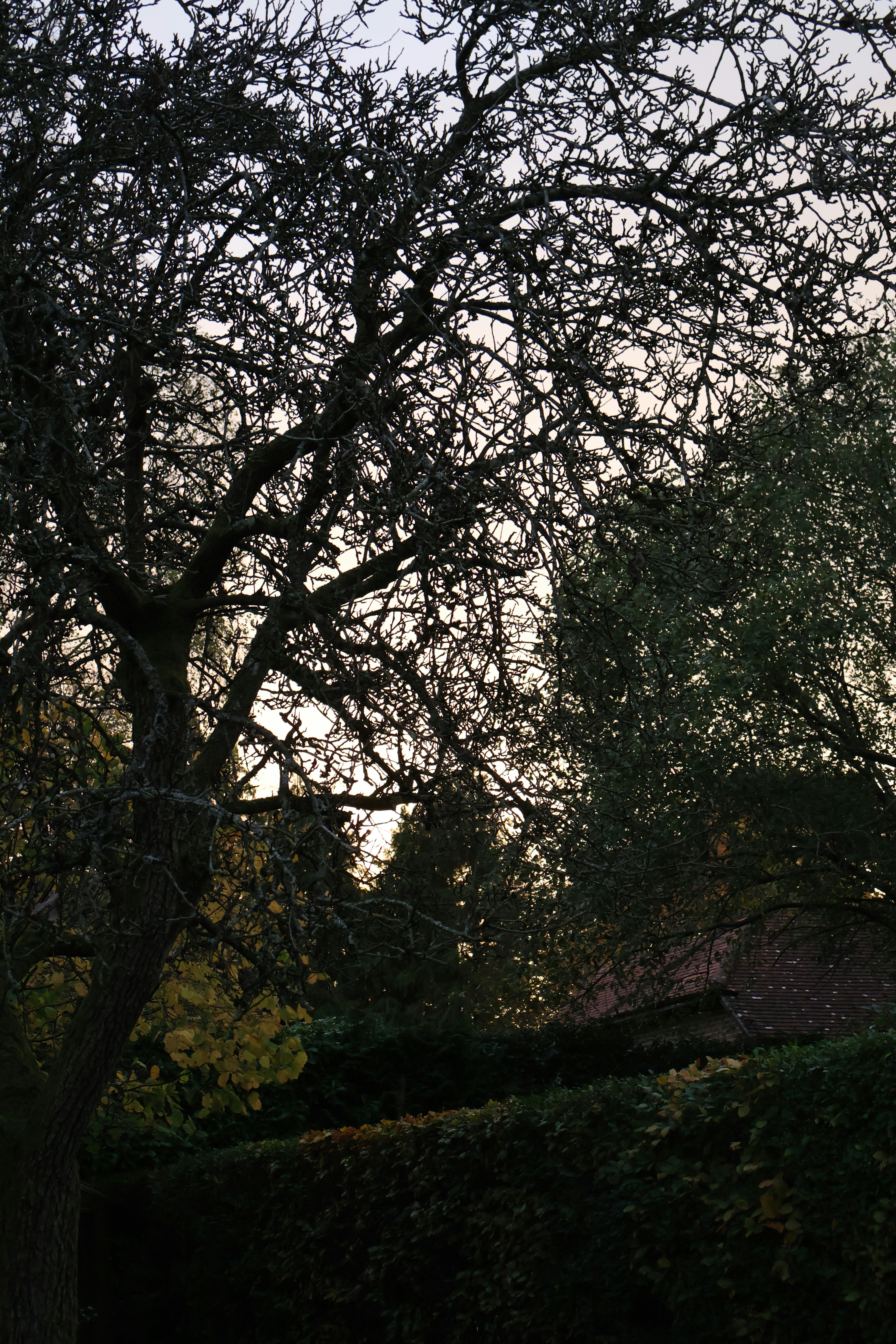 Photo by tanyabarrow