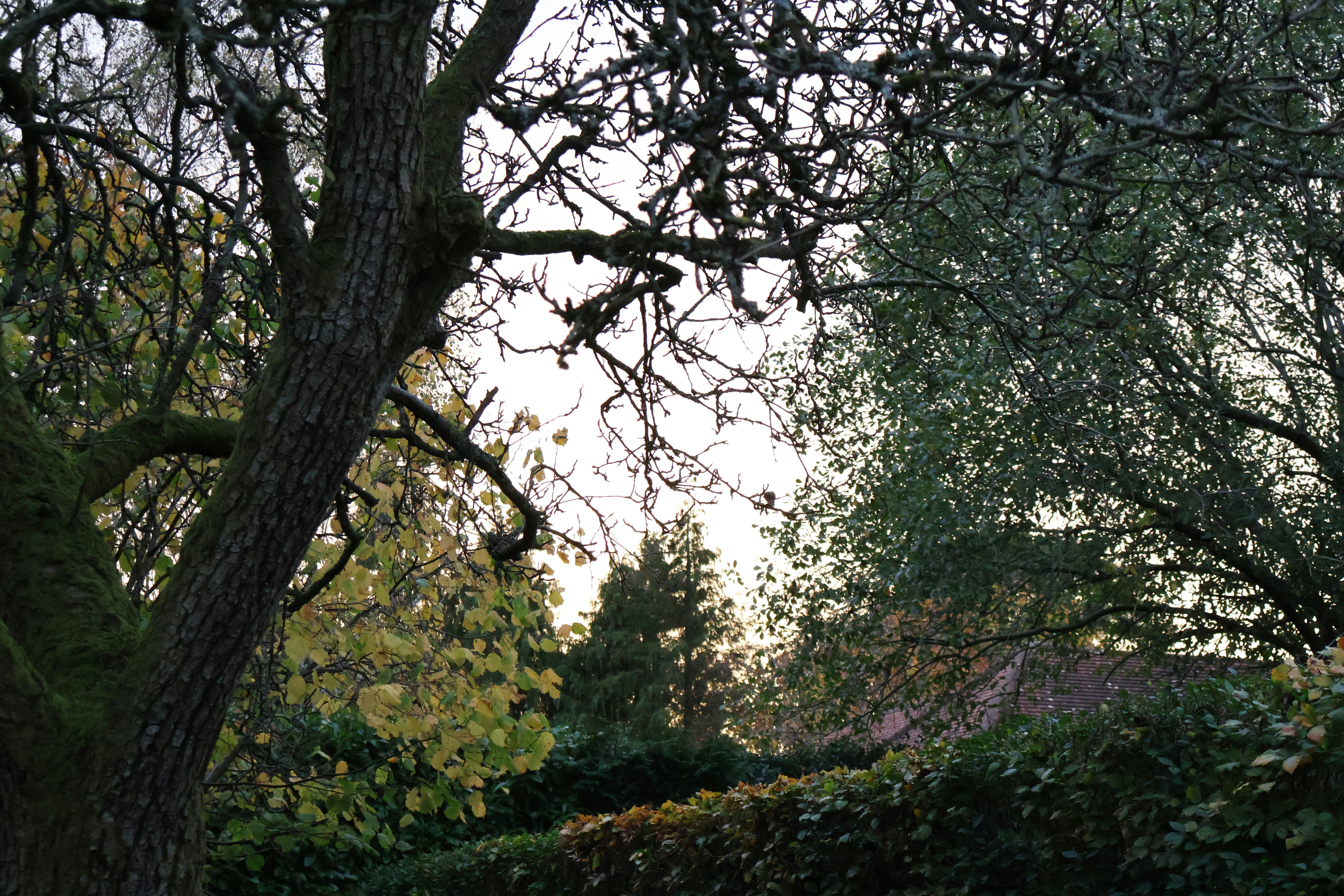 Photo by tanyabarrow