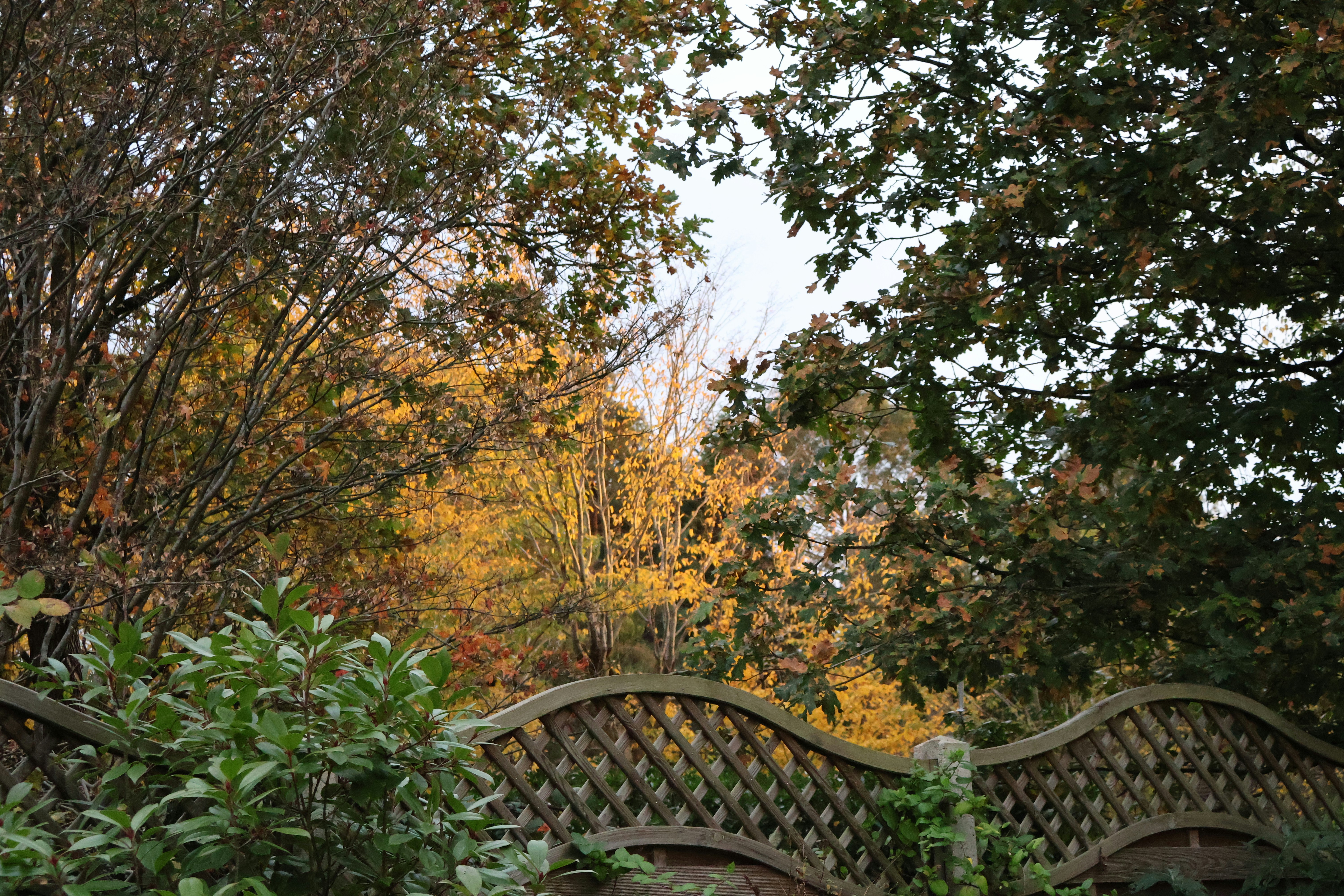 Photo by tanyabarrow