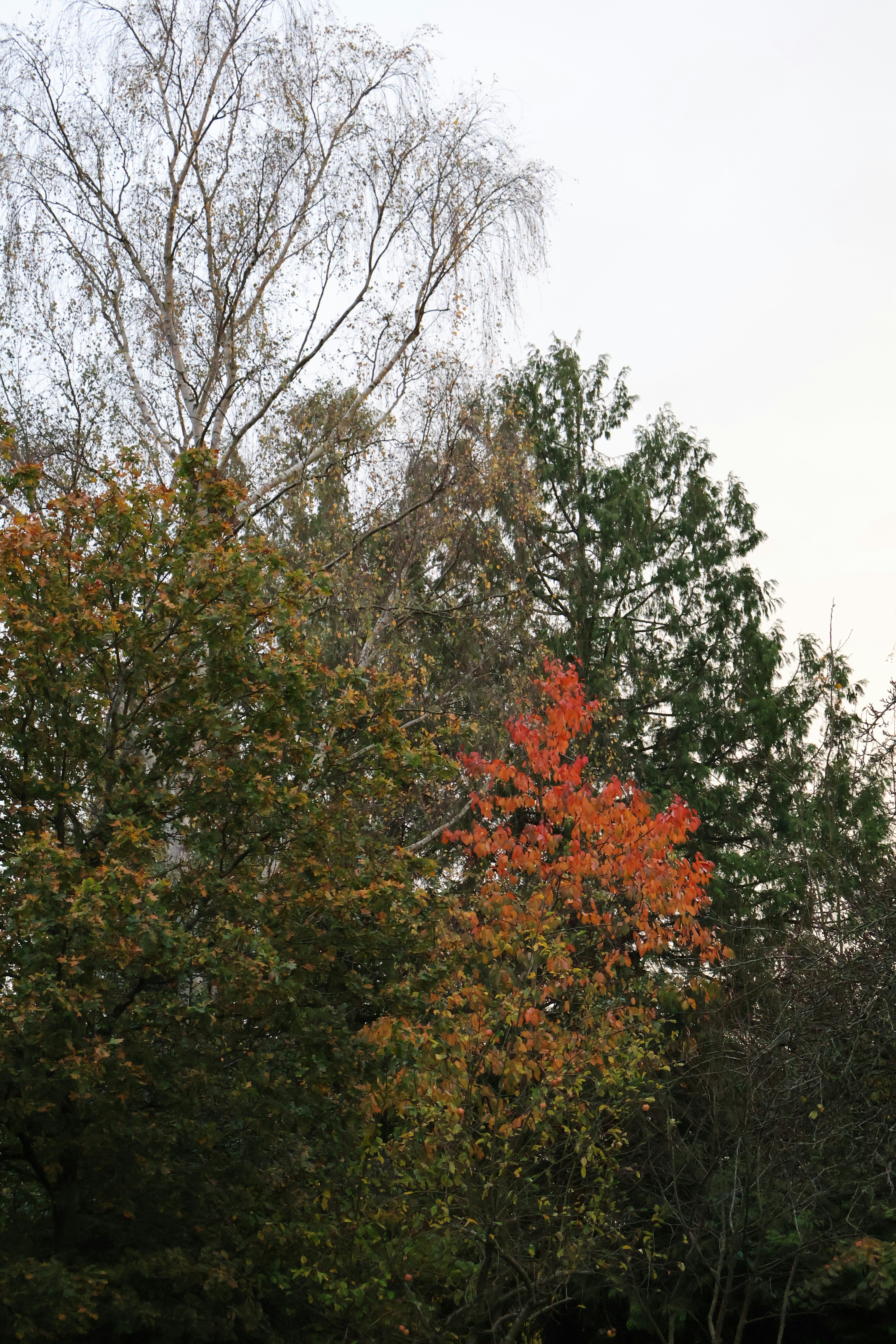 Photo by tanyabarrow