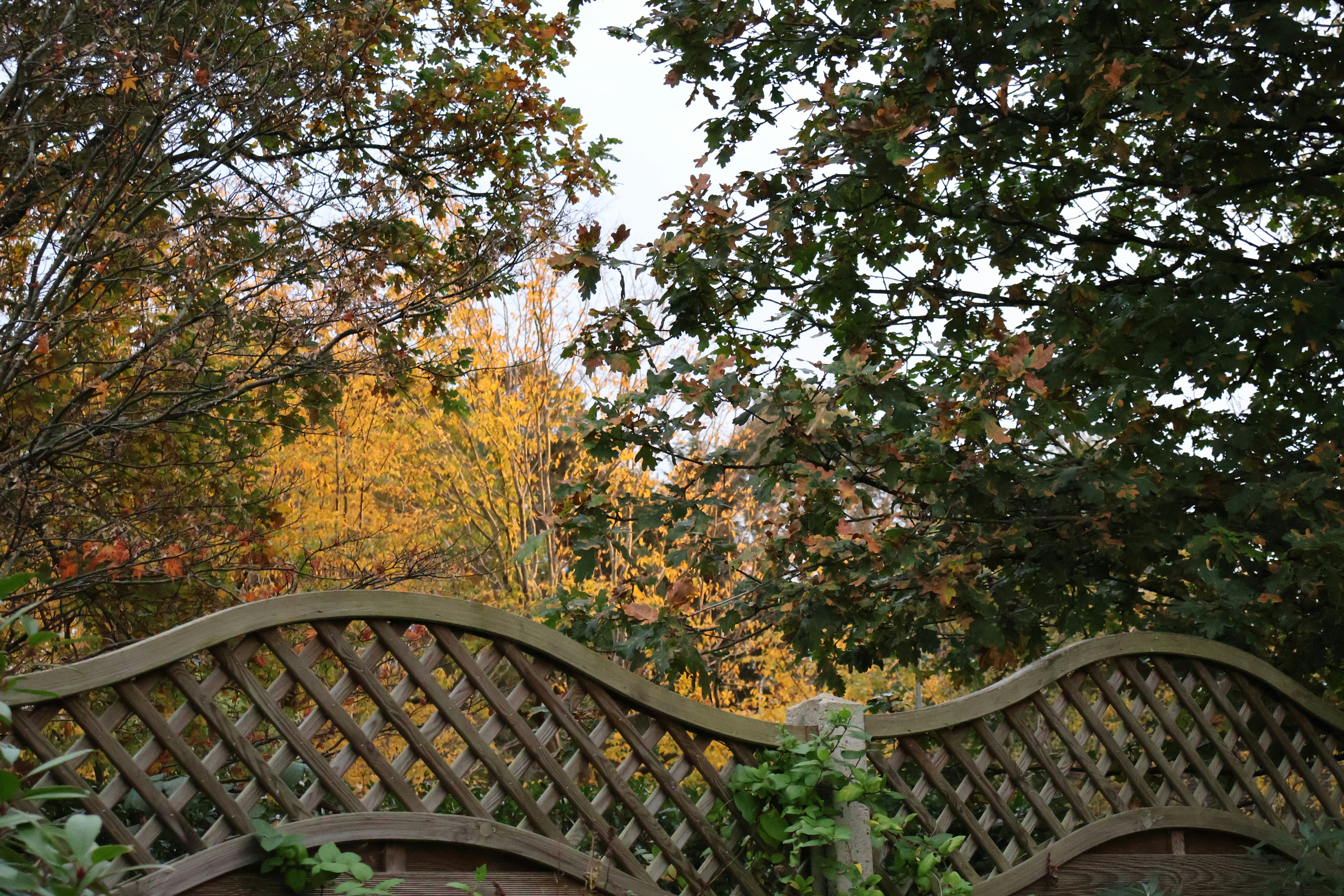 Photo by tanyabarrow