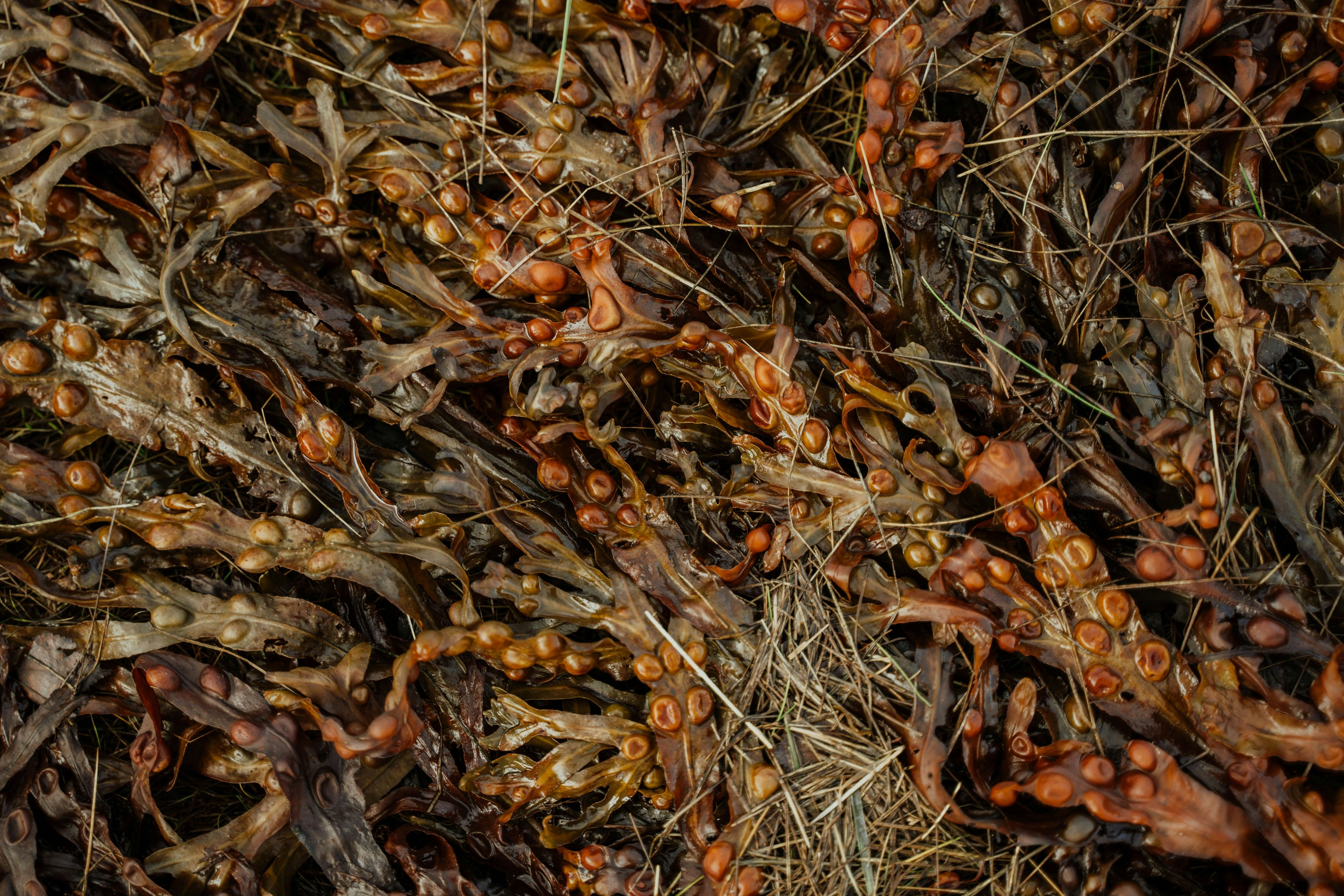 Photo by gailfrancis