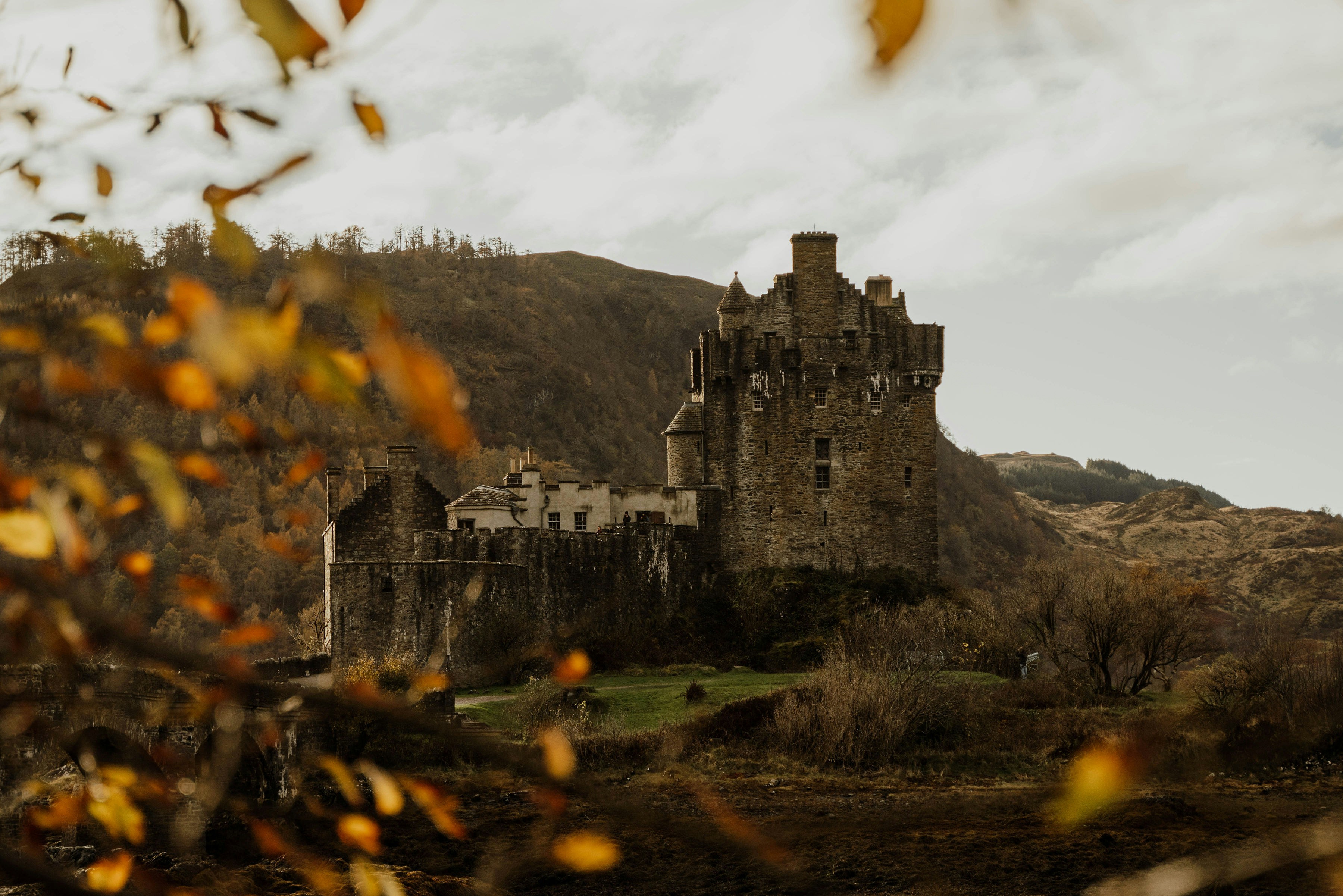 Photo by gailfrancis