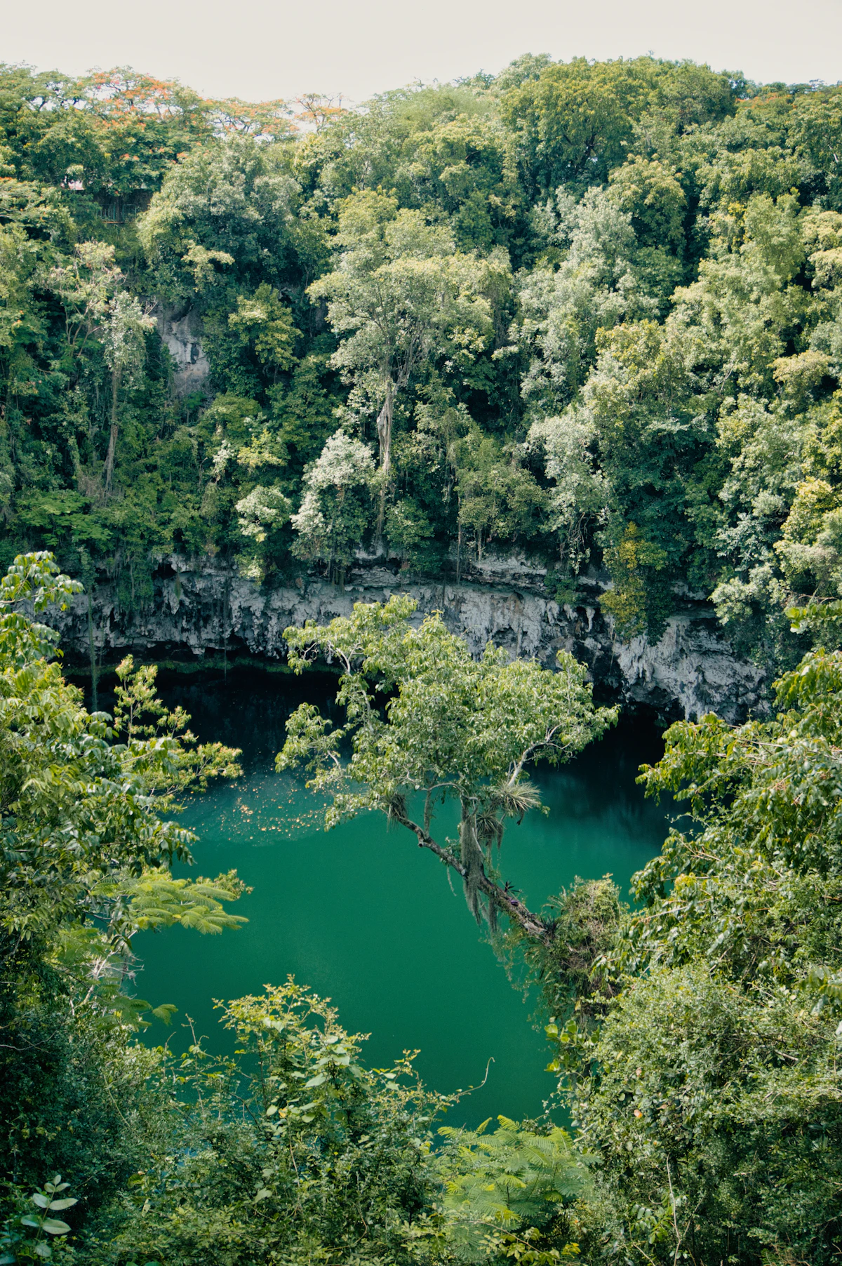 Parc national de Morne Trois Pitons
