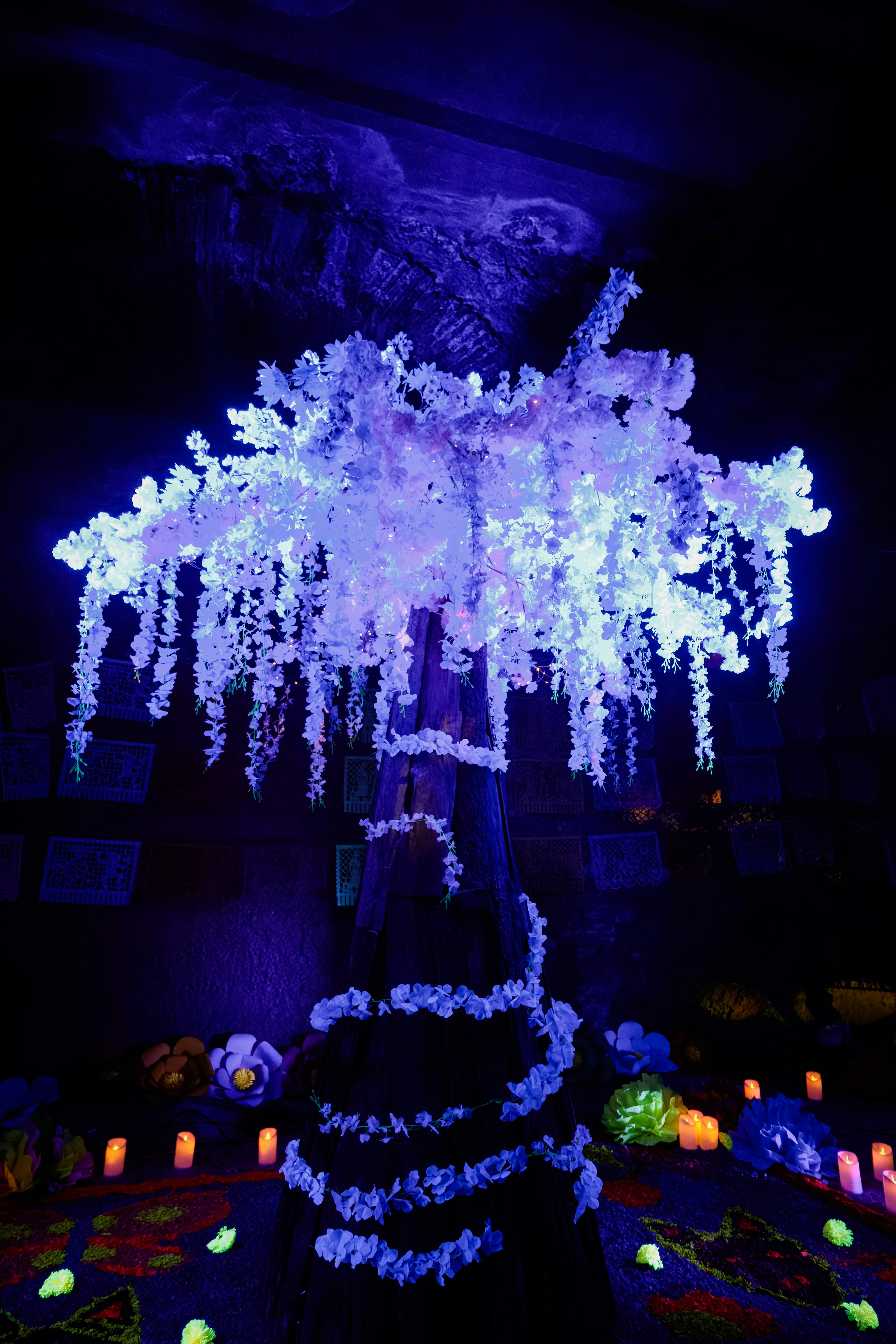 Glowing tree with hanging flowers in dark room