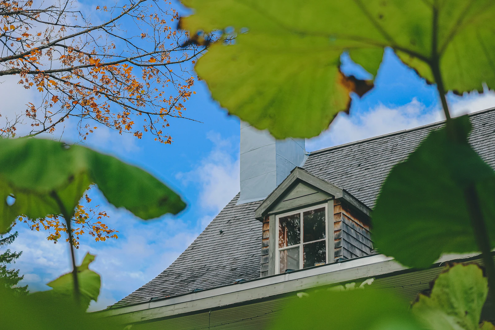 Roofing service