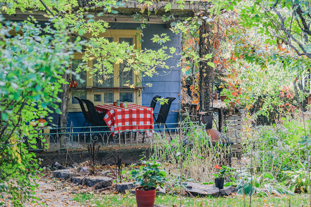 A cozy outdoor seating area with plants and warm lighting