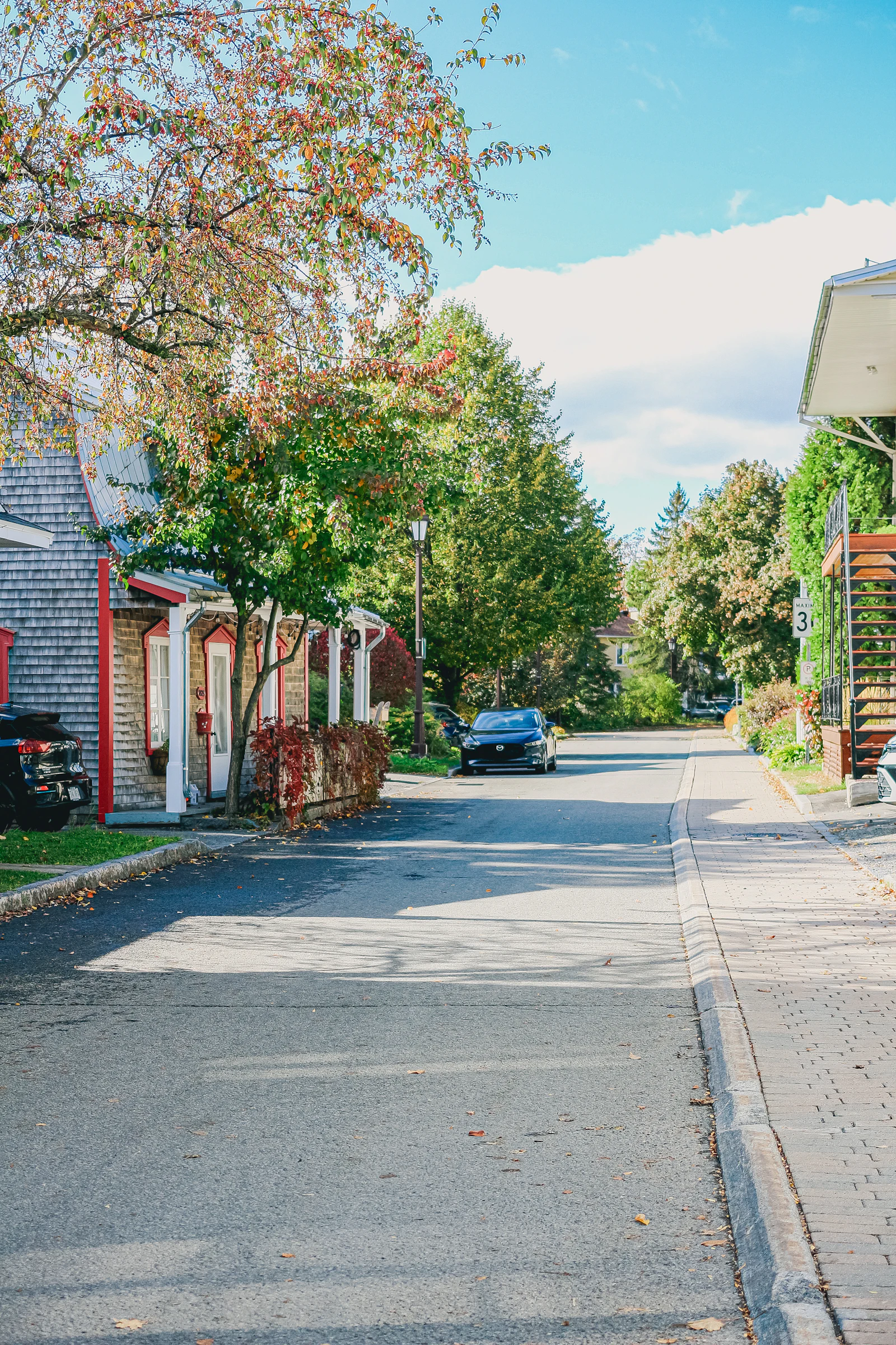 A car on a tree-lined residential street in early autumn.