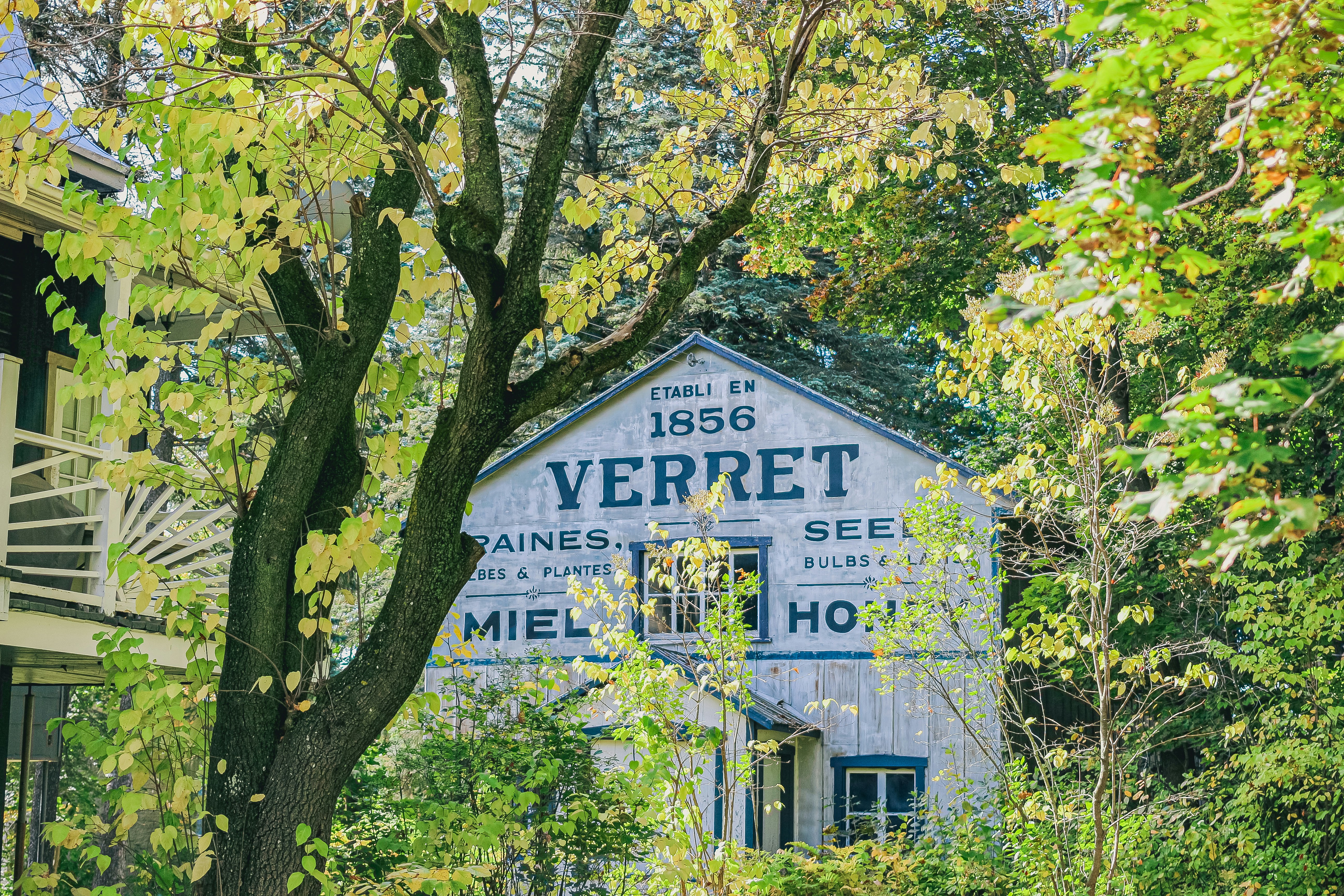 Old building with verret sign surrounded by trees