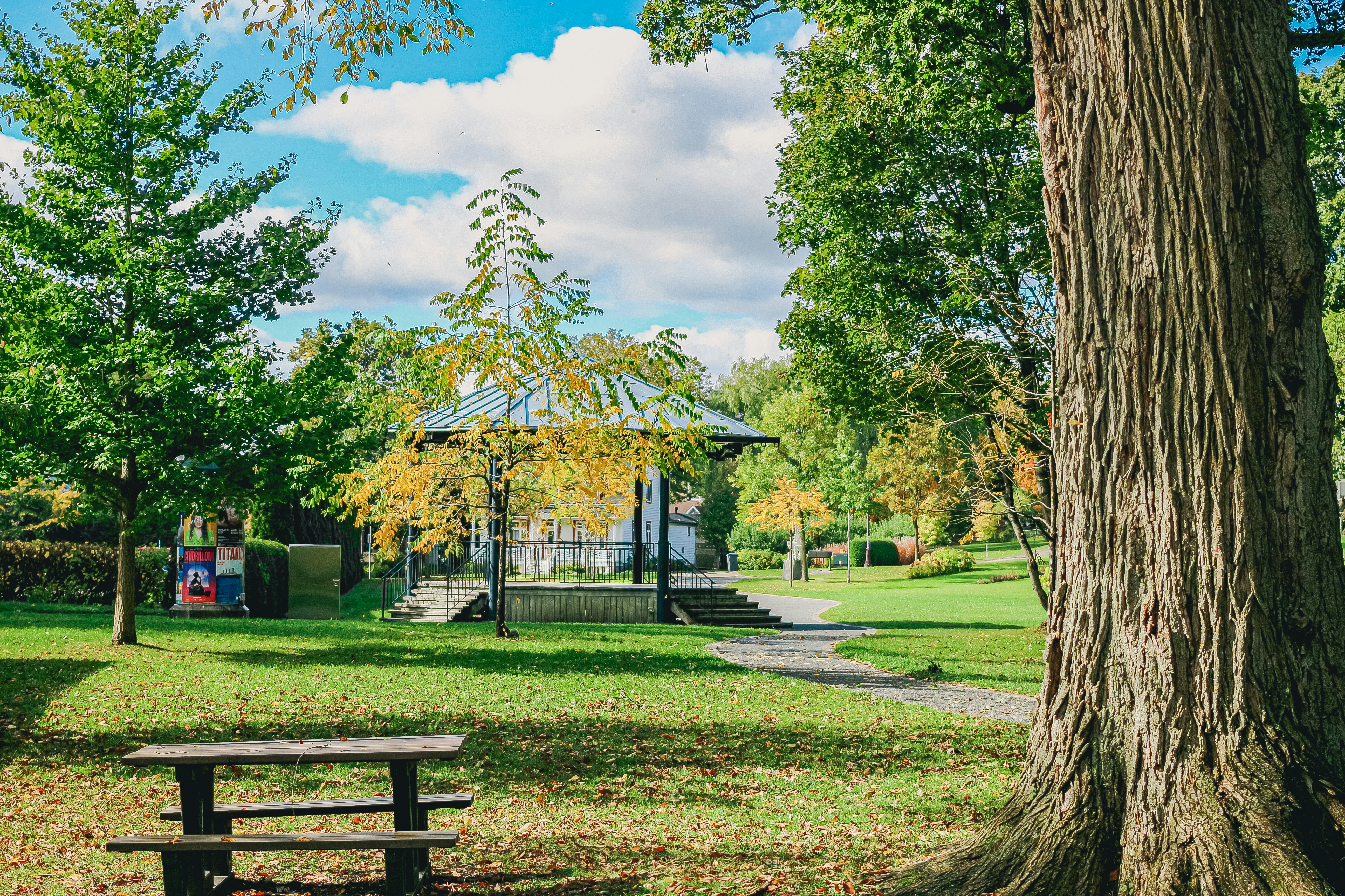 A park gazebo surrounded by trees on a sunny day.