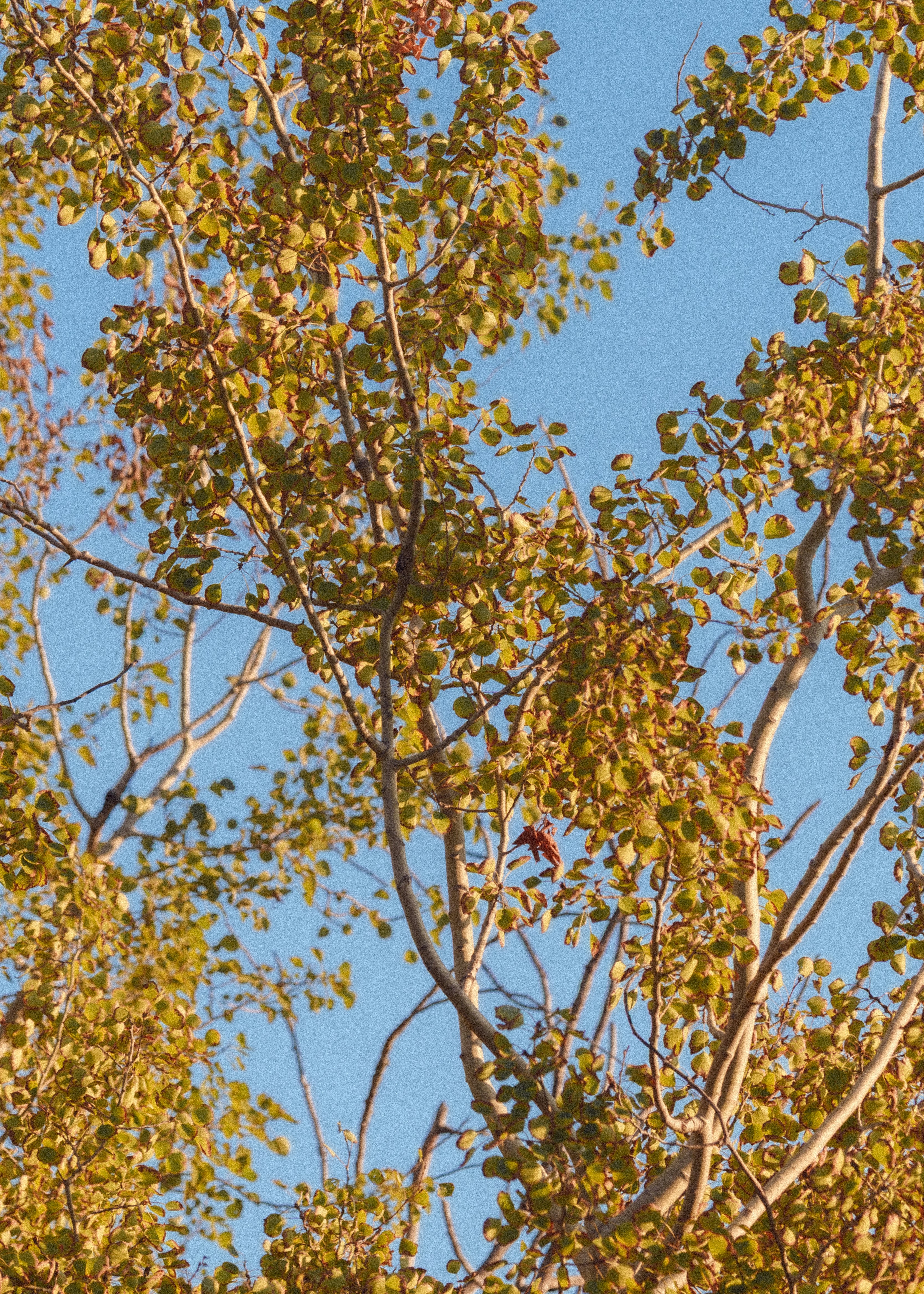 Photo by diljotbphotography