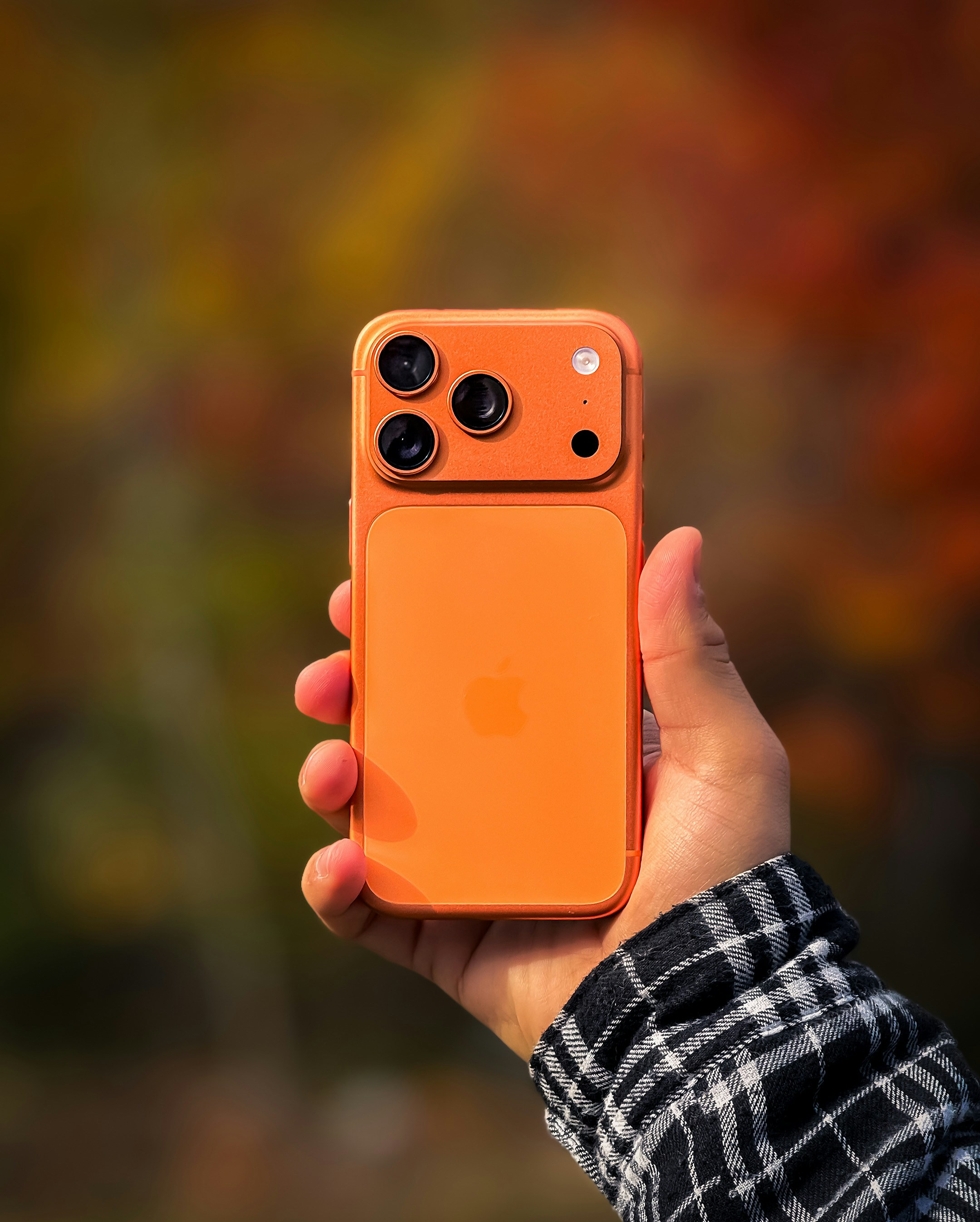 Photo by choudhary_abhinav