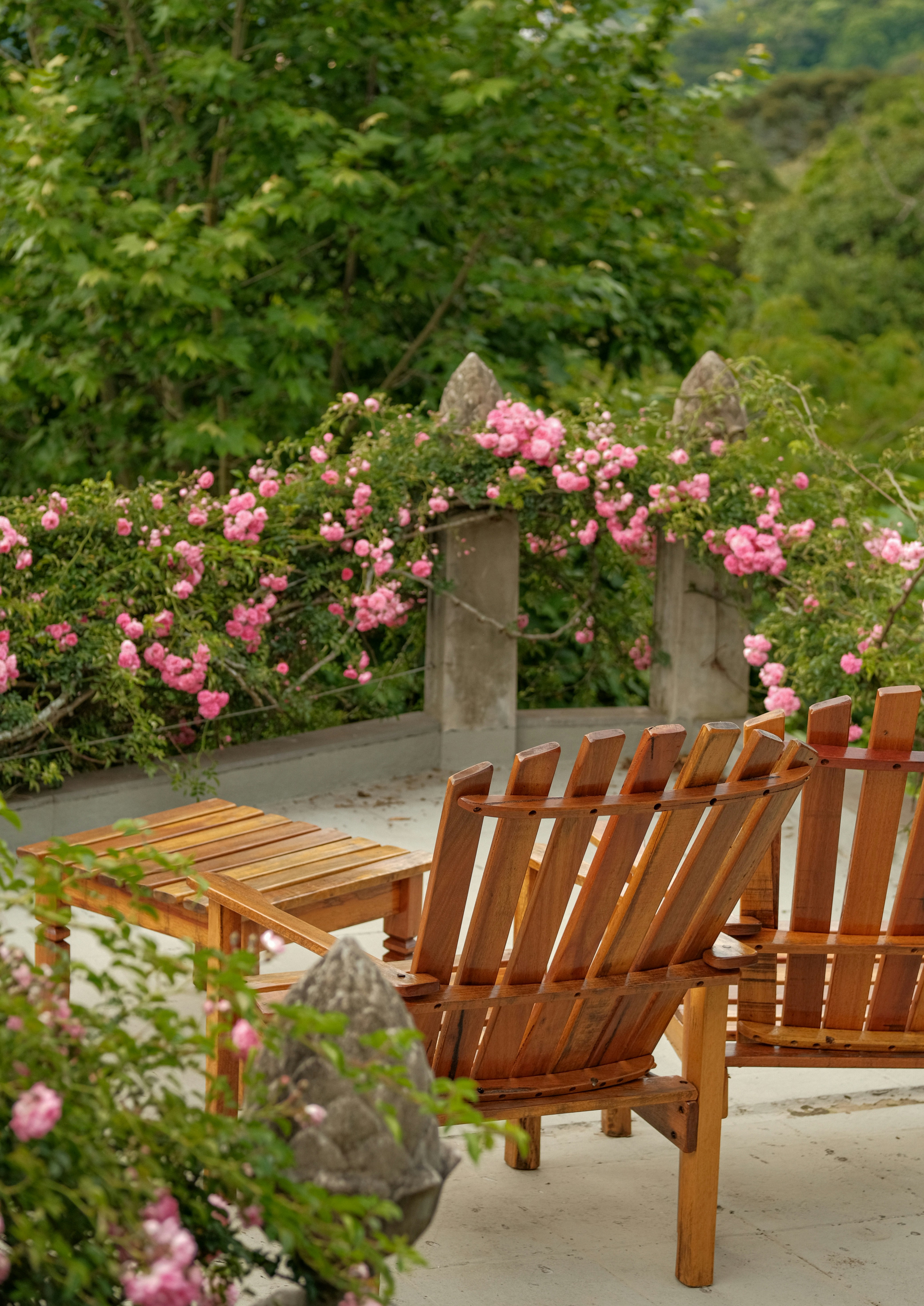 Professional landscaping