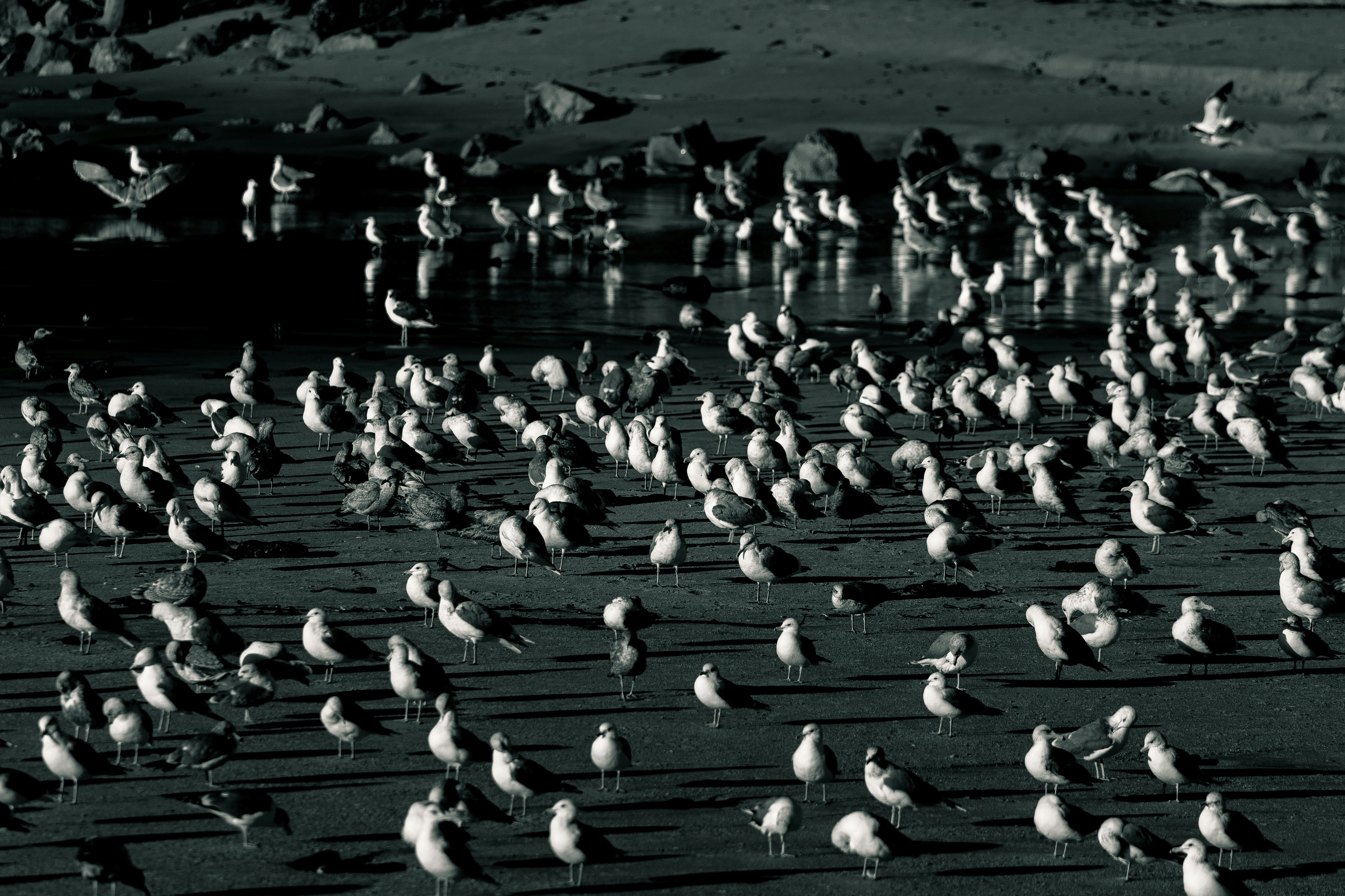 Photo by garrettsschmid