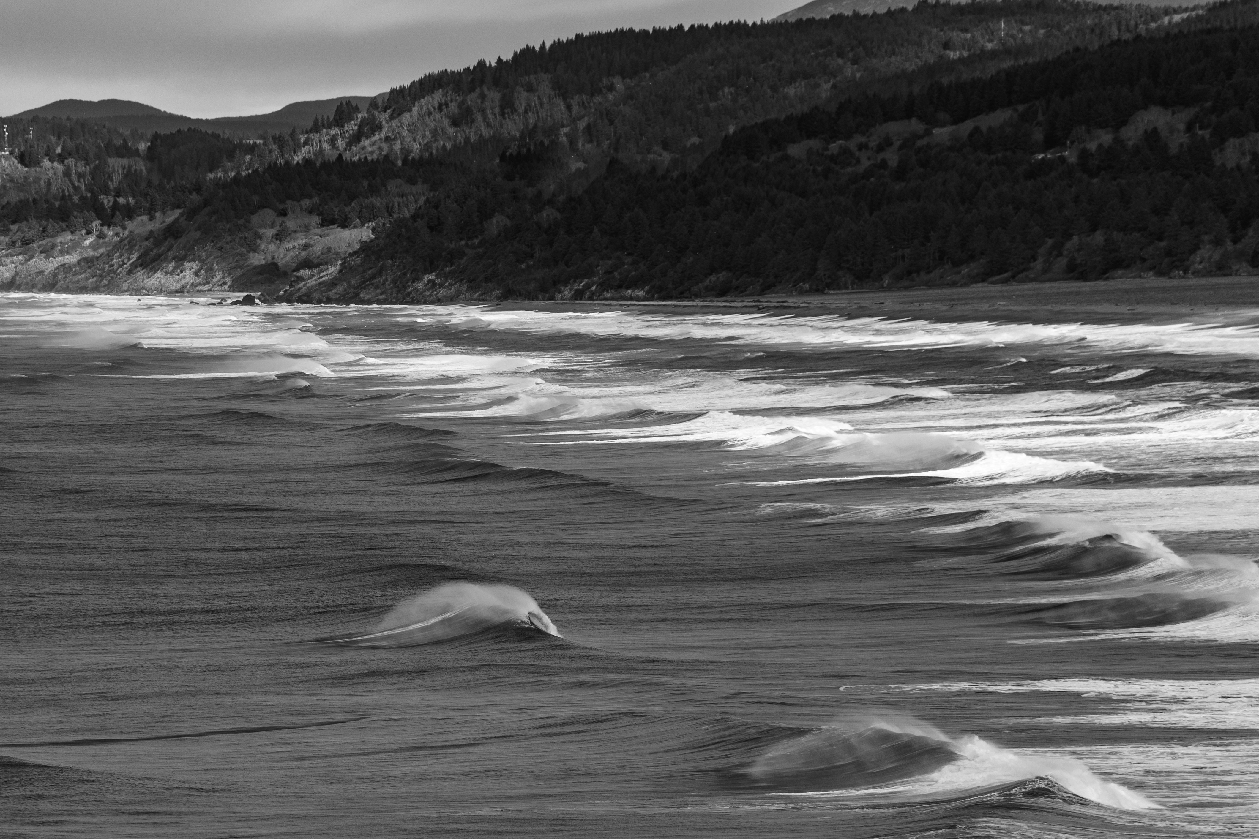 Photo by garrettsschmid