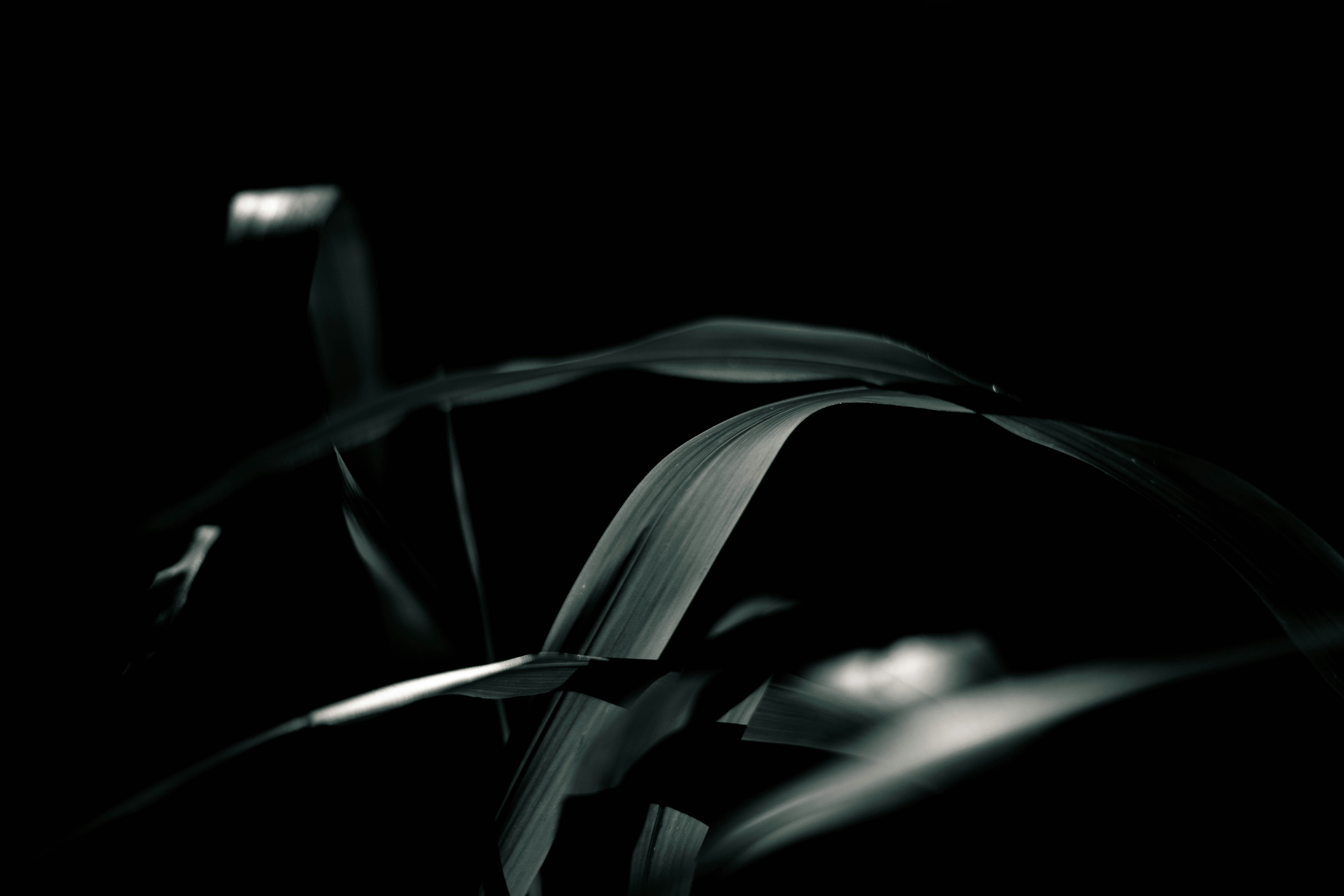 Photo by garrettsschmid