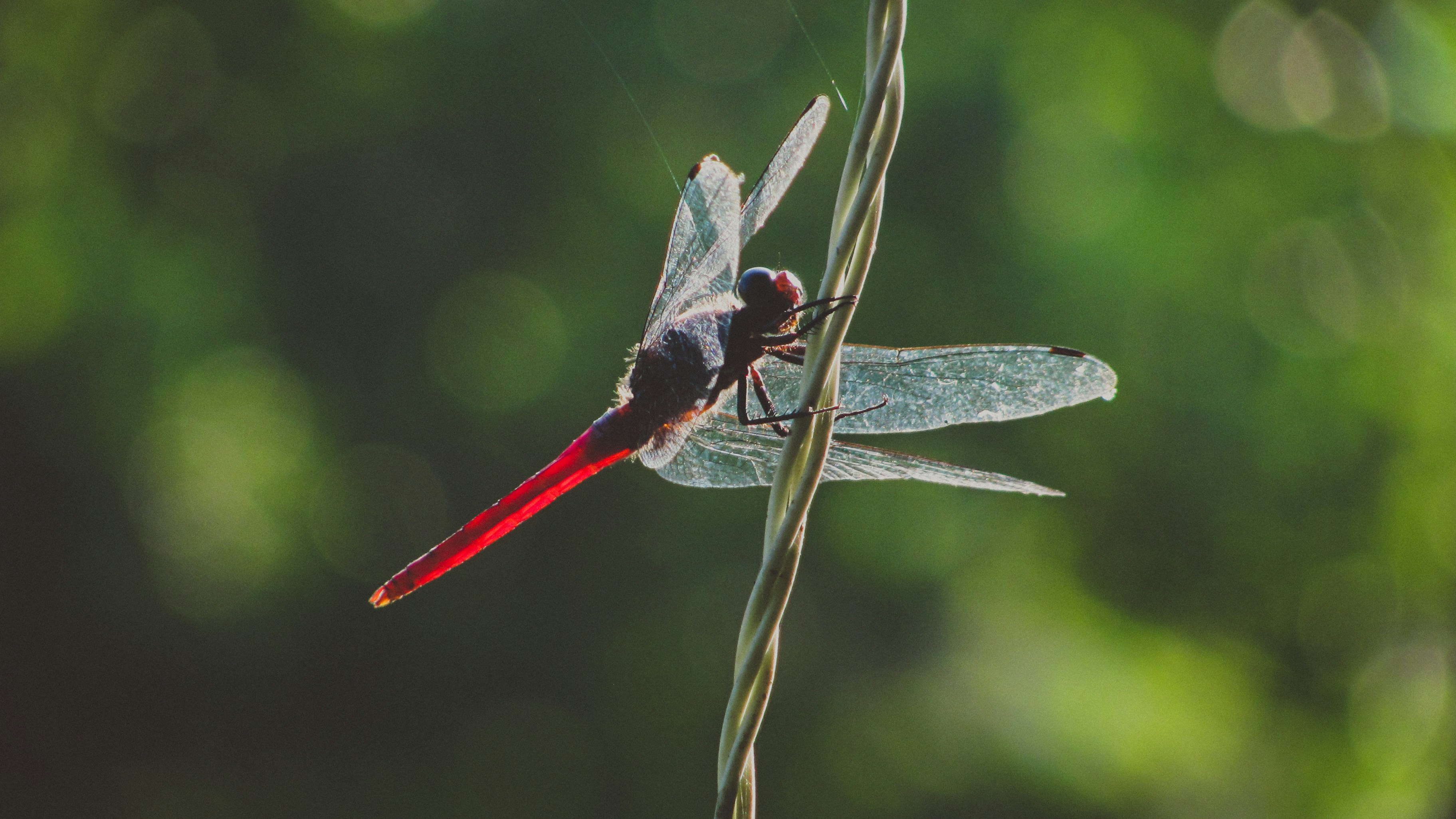 Photo by sanketjawali