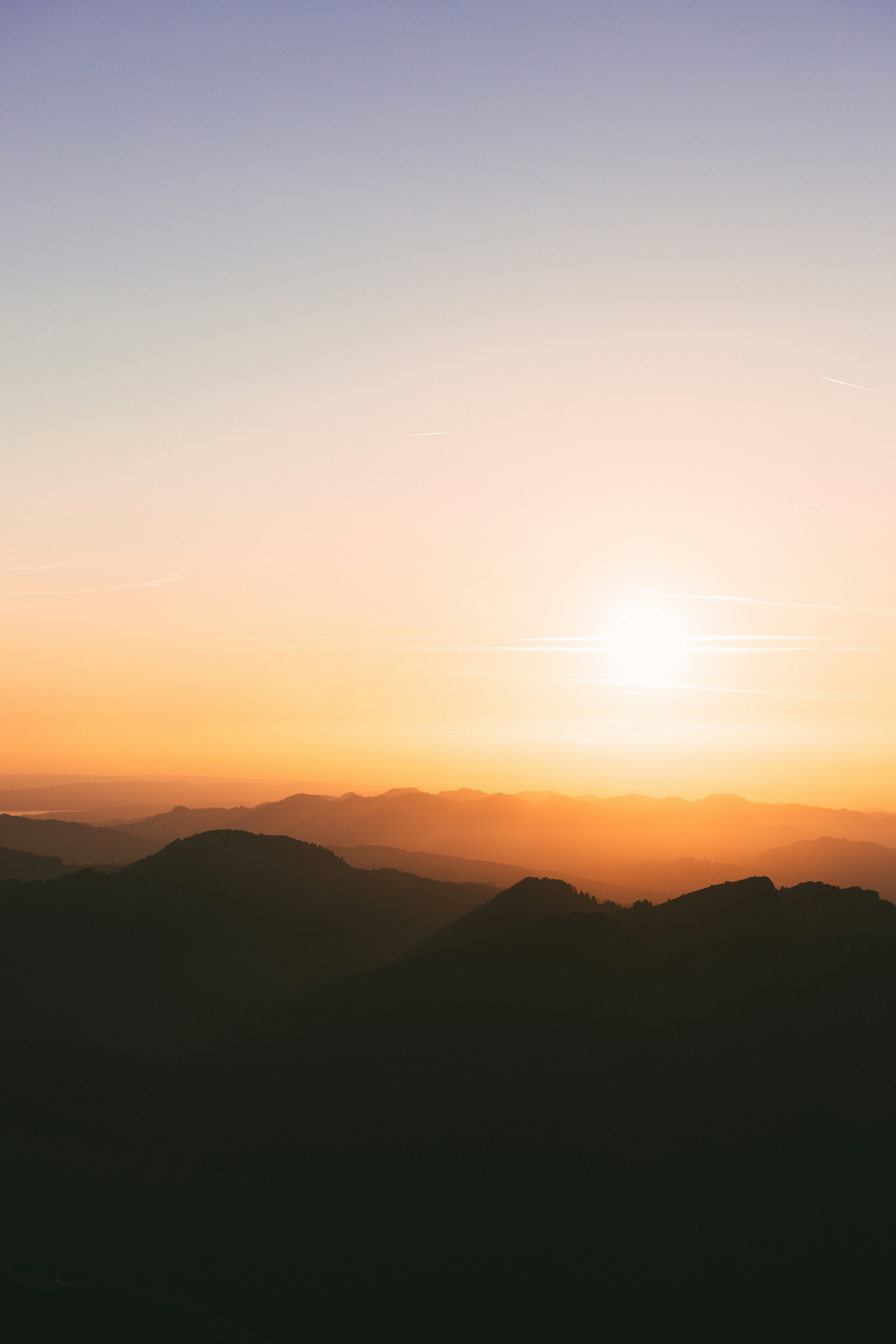 large picture of the cover