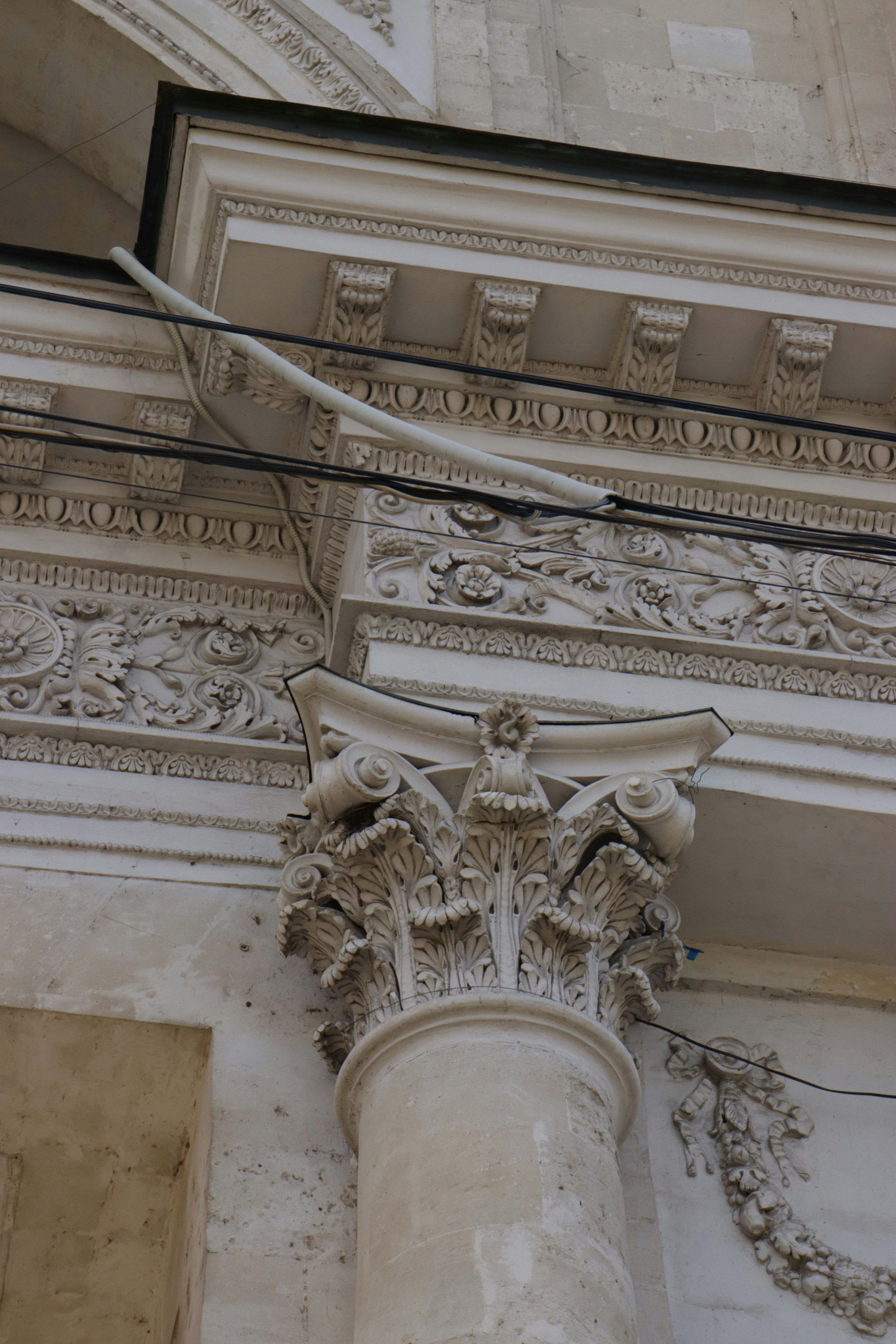 Photo by bored_mongoose