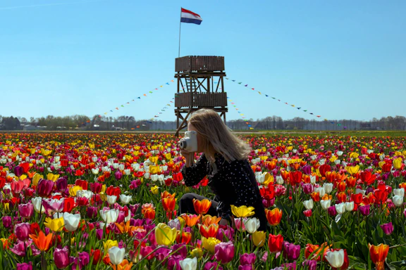 Woman drinking coffee in a field of colorful tulips