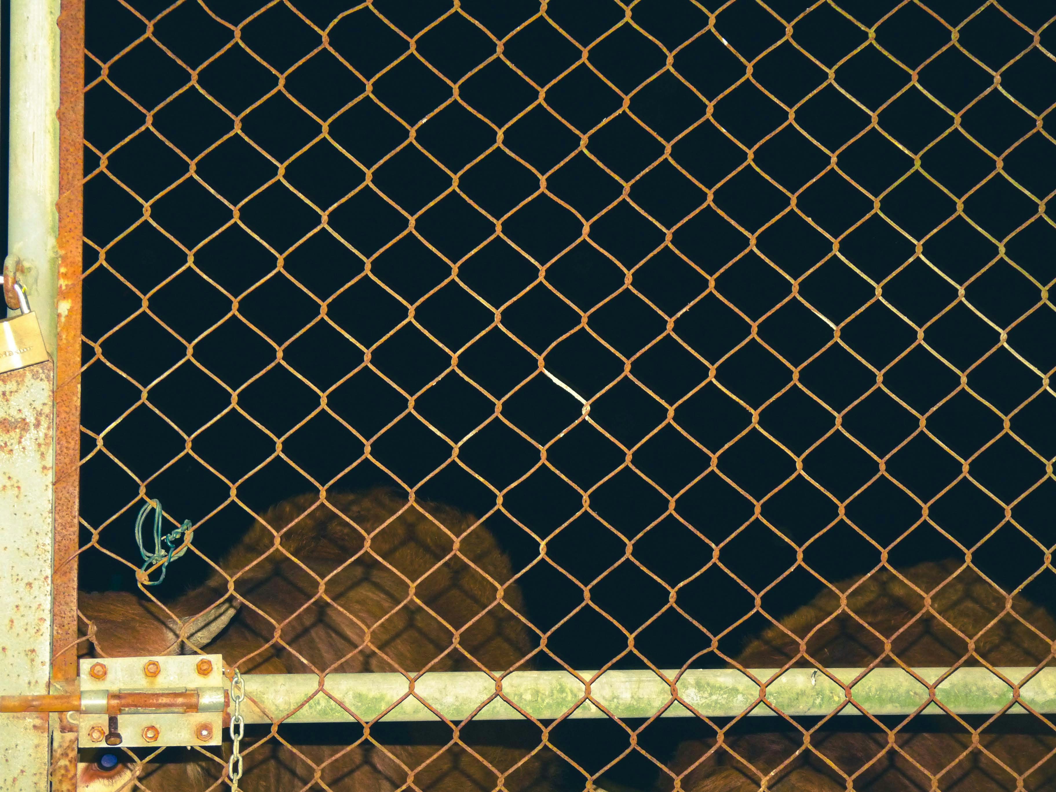 Photo by guiomarcanelas