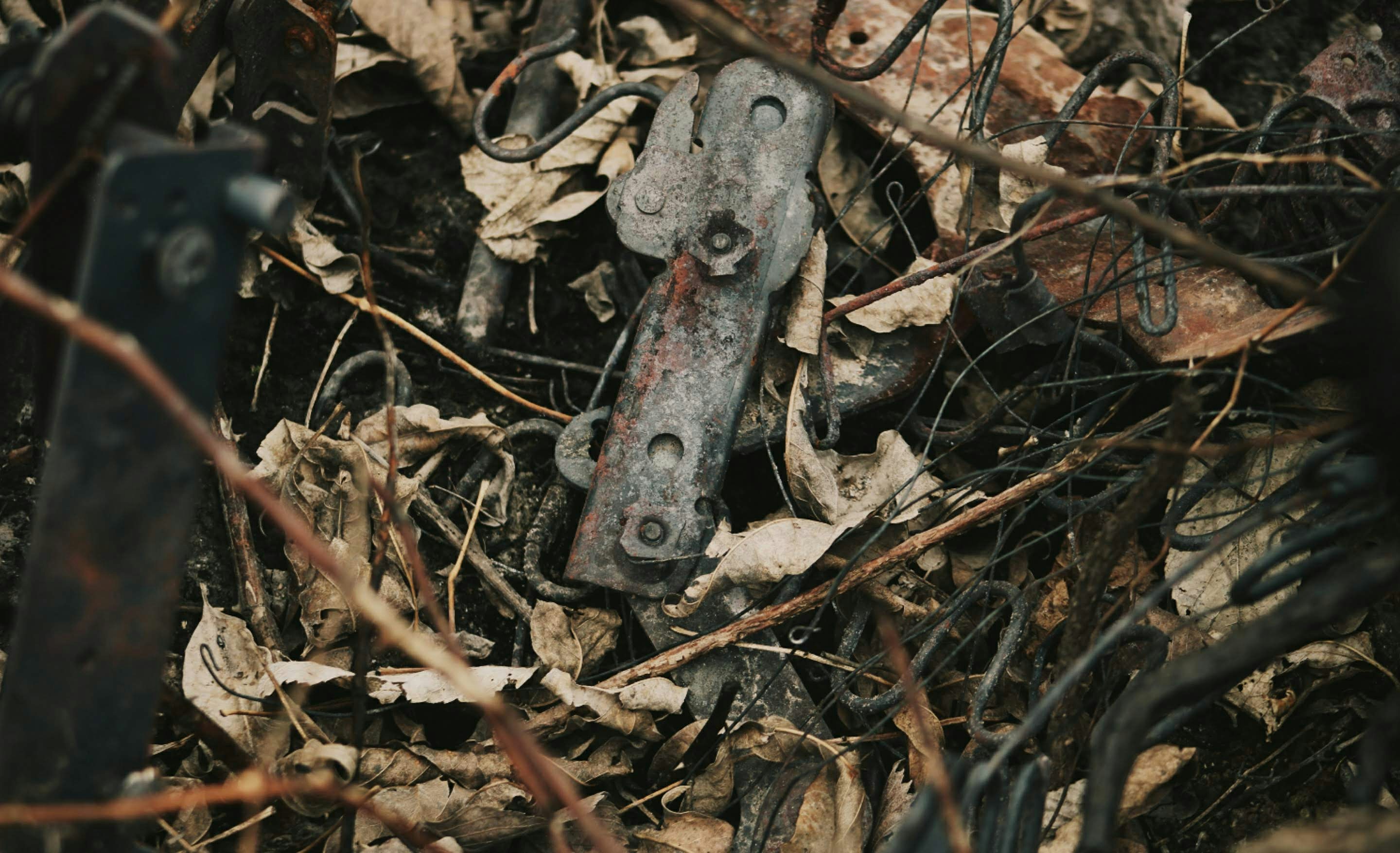 Rusty metal object amidst dry leaves and twigs