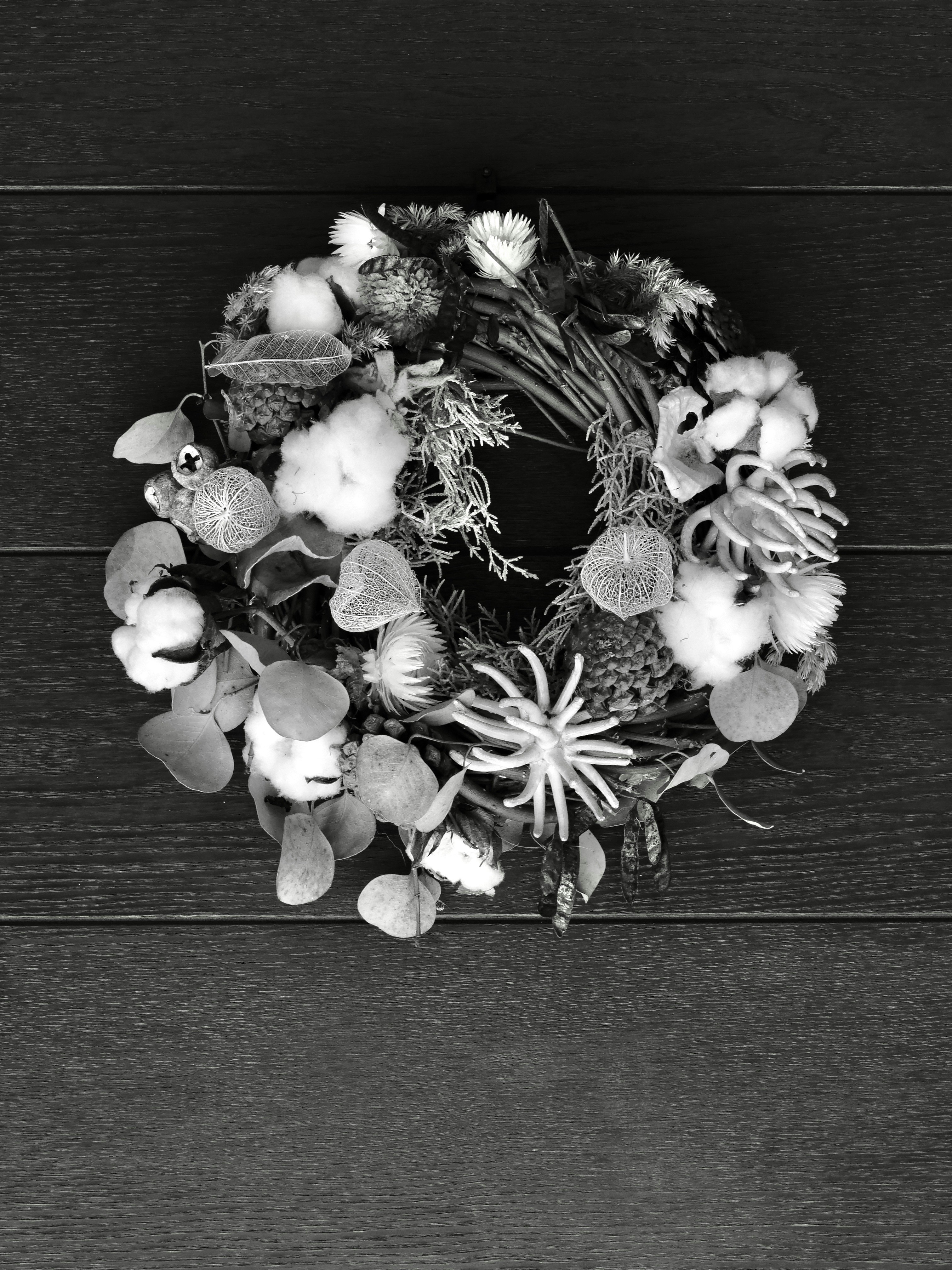 Photo by sschusterphotoart