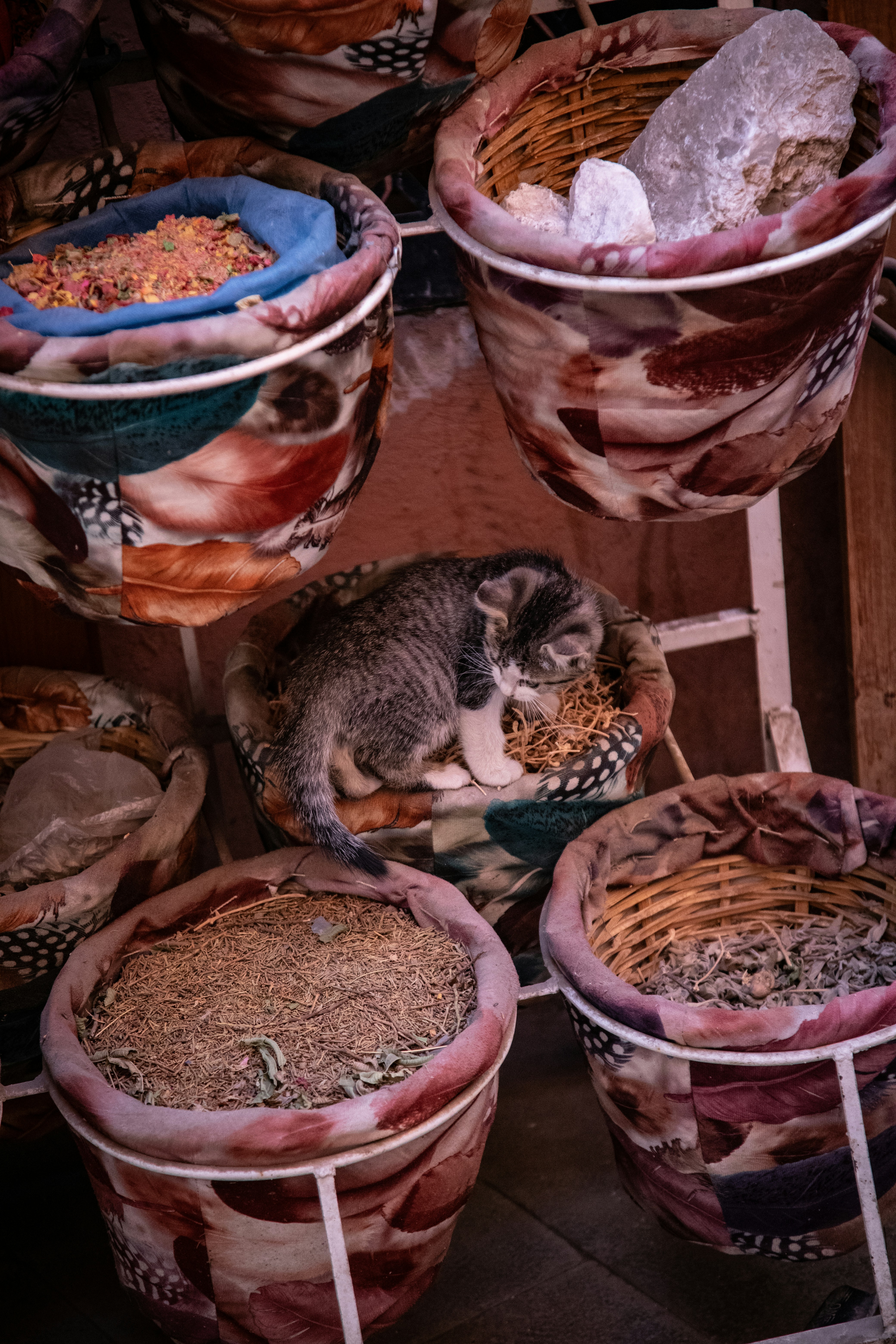 Traditional Moroccan market