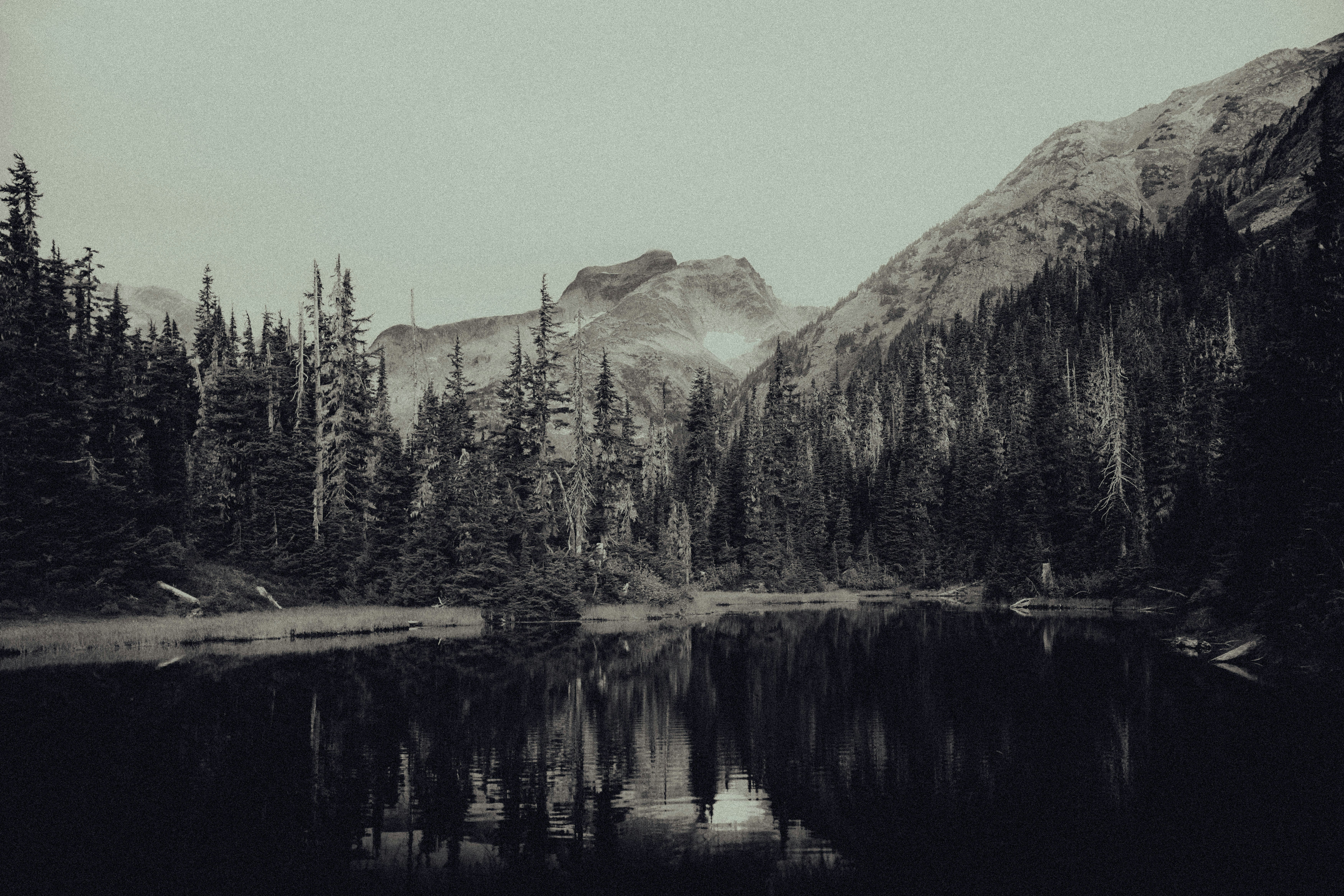 Photo by naturelensephotographer