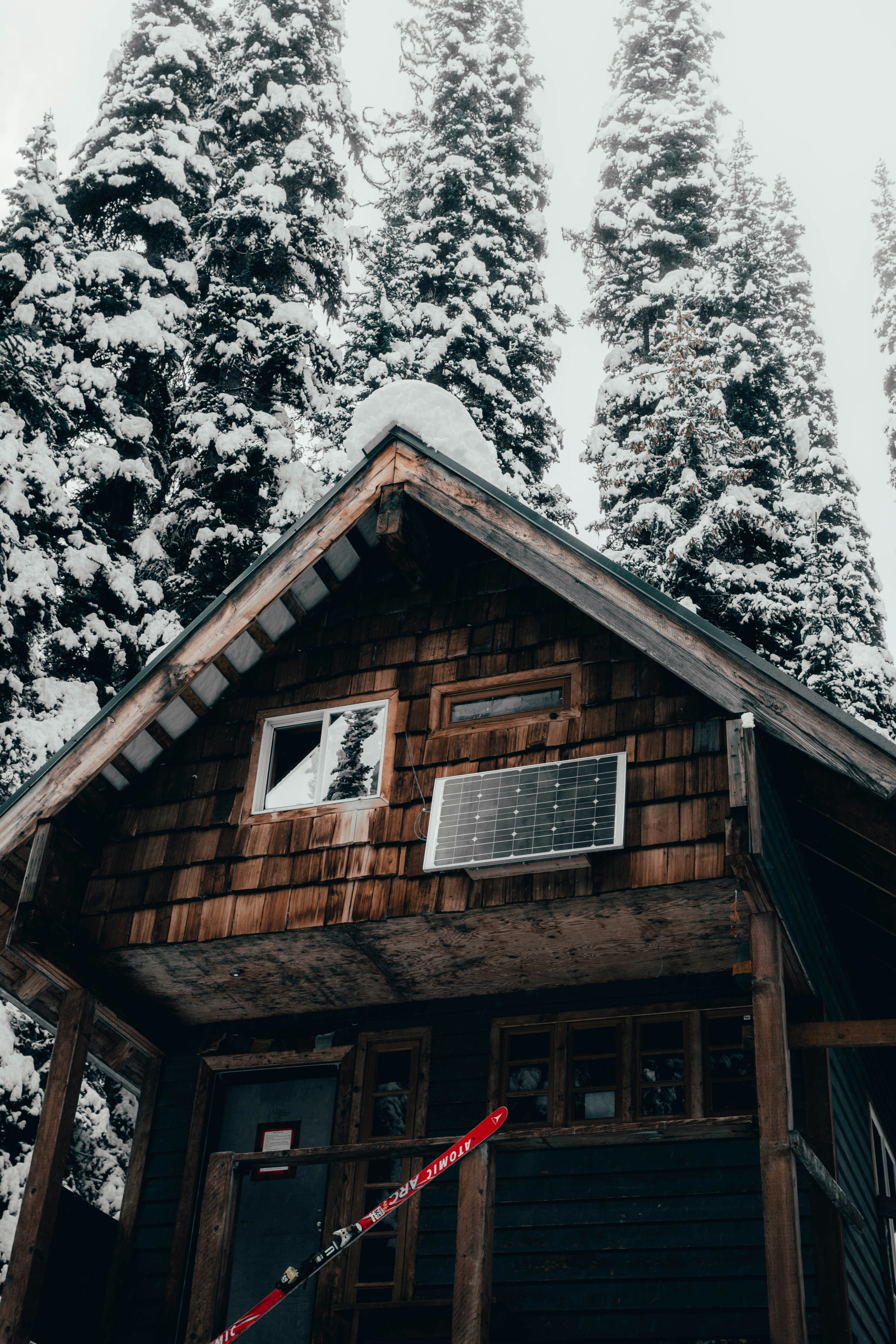 Photo by naturelensephotographer