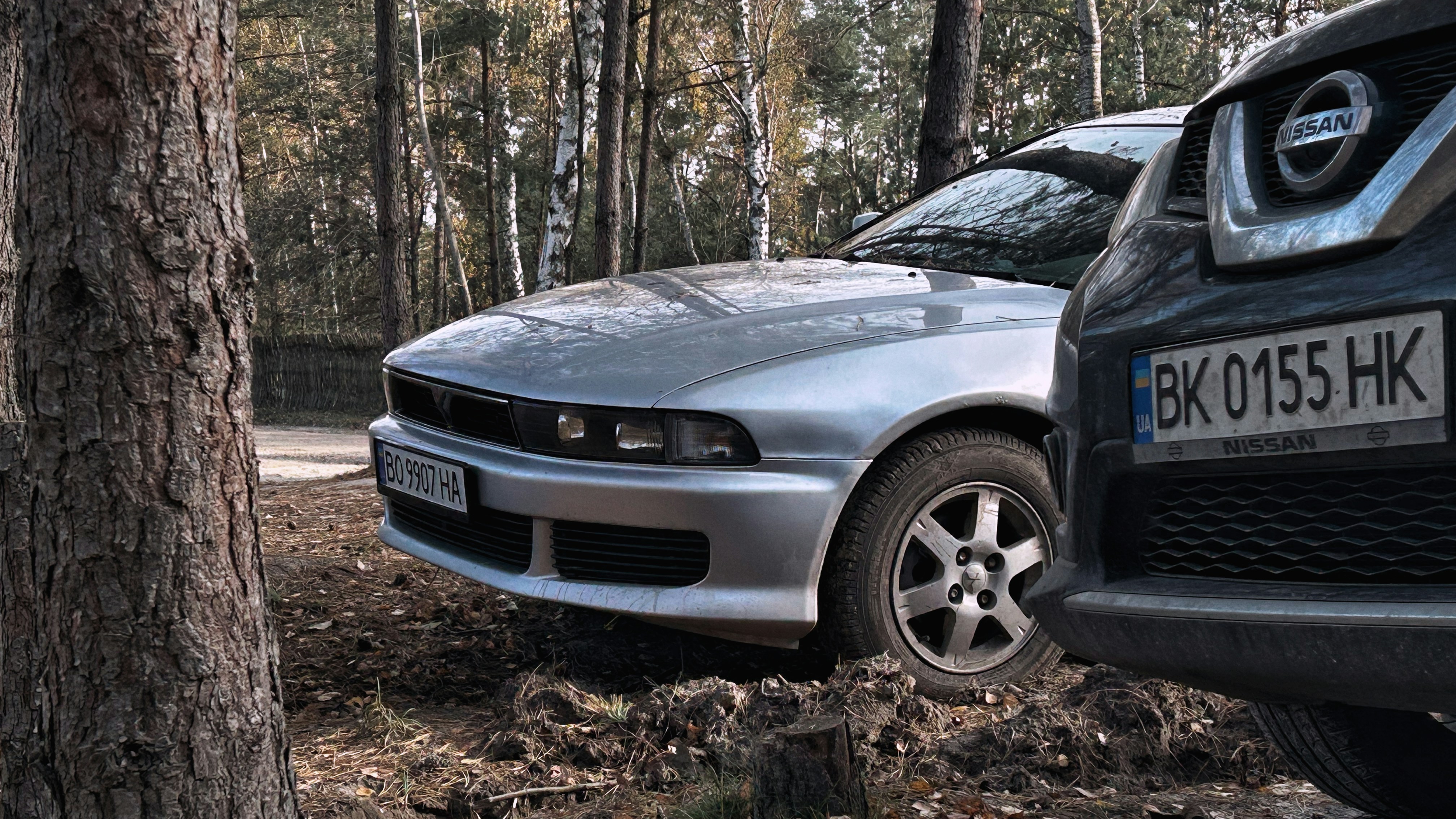 Two cars parked in a forest setting.