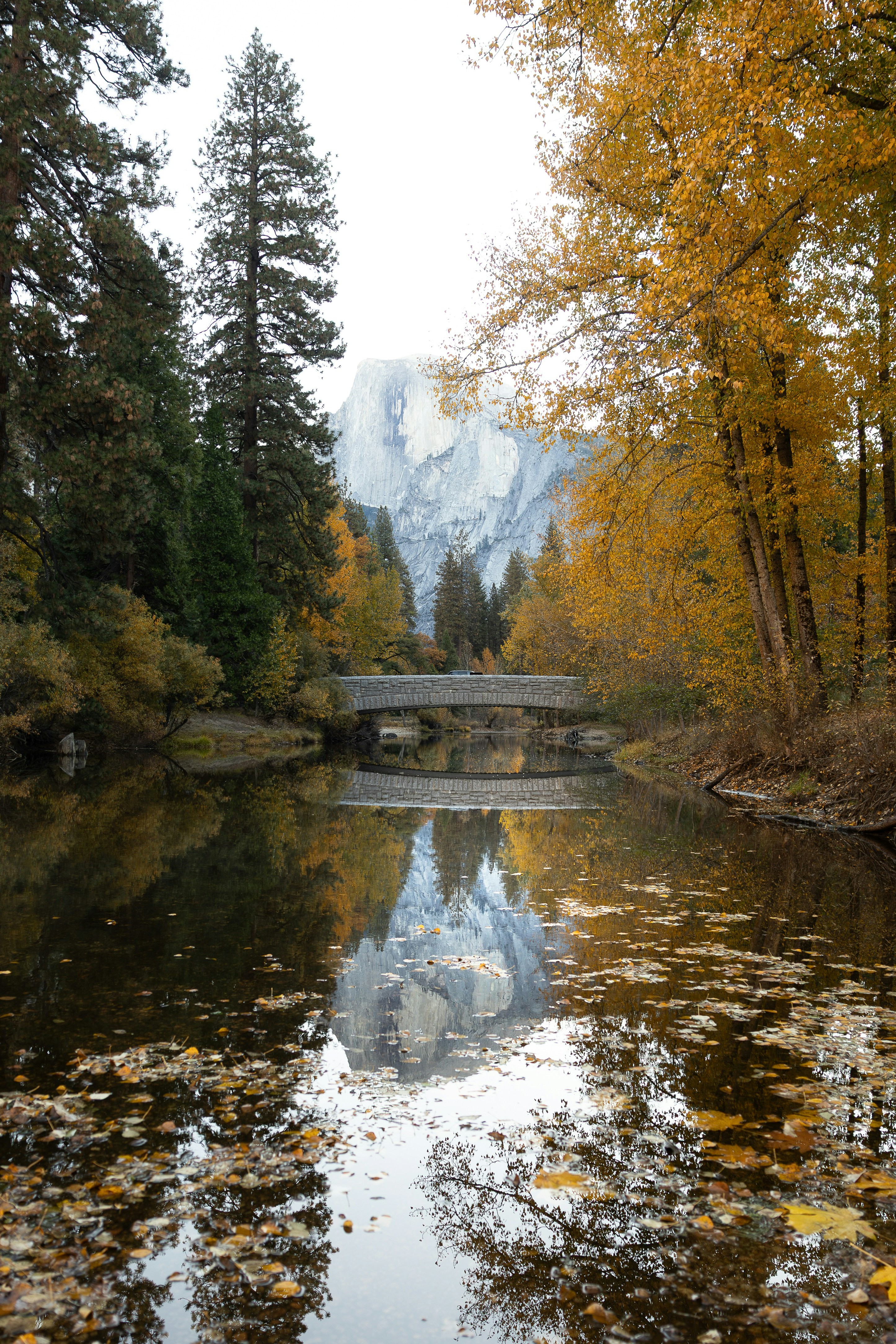 Photo by foreverthai_