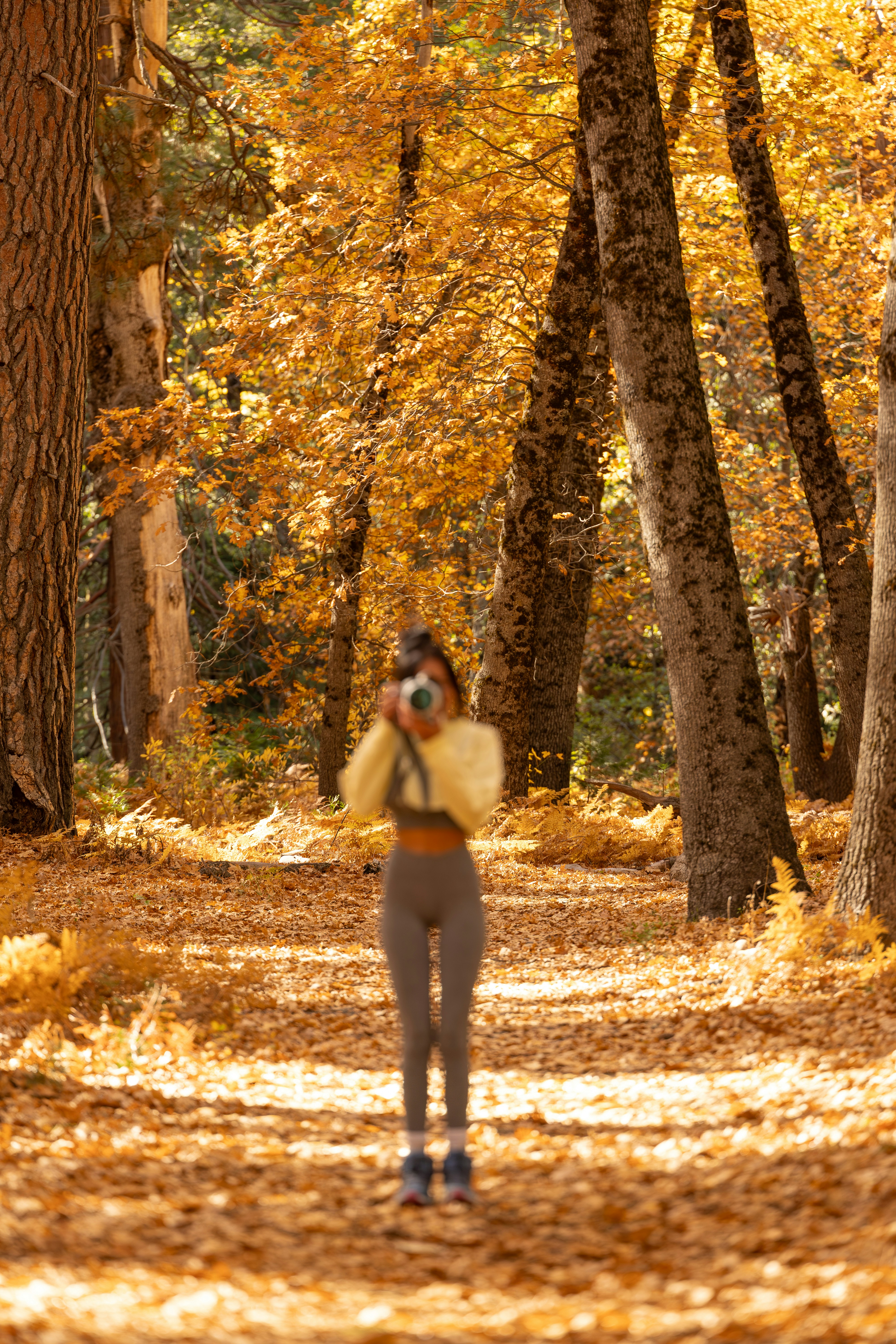 Fall Burnout: How to Enjoy Fall Without Doing Everything