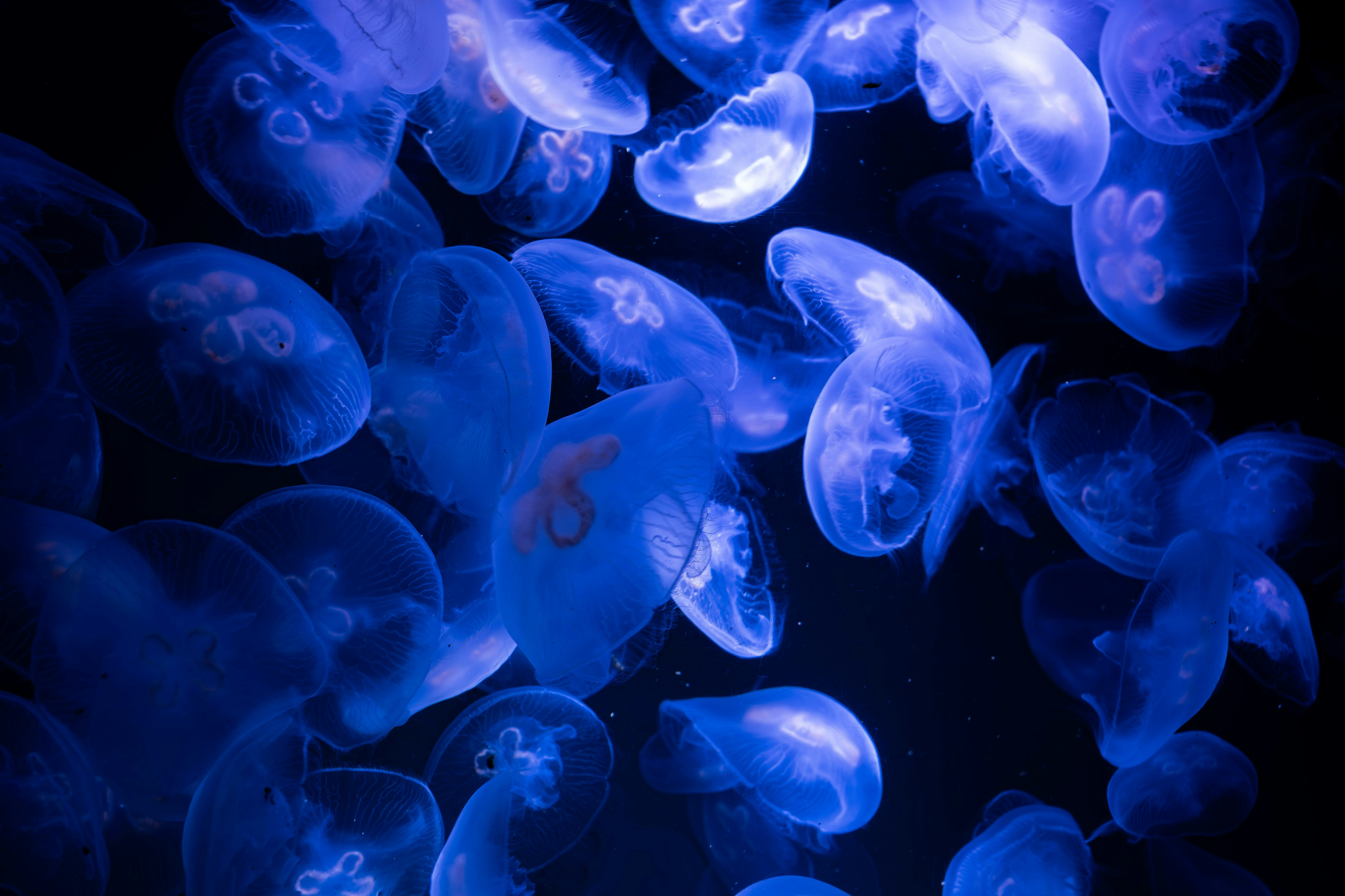 Photo by bildlich_art