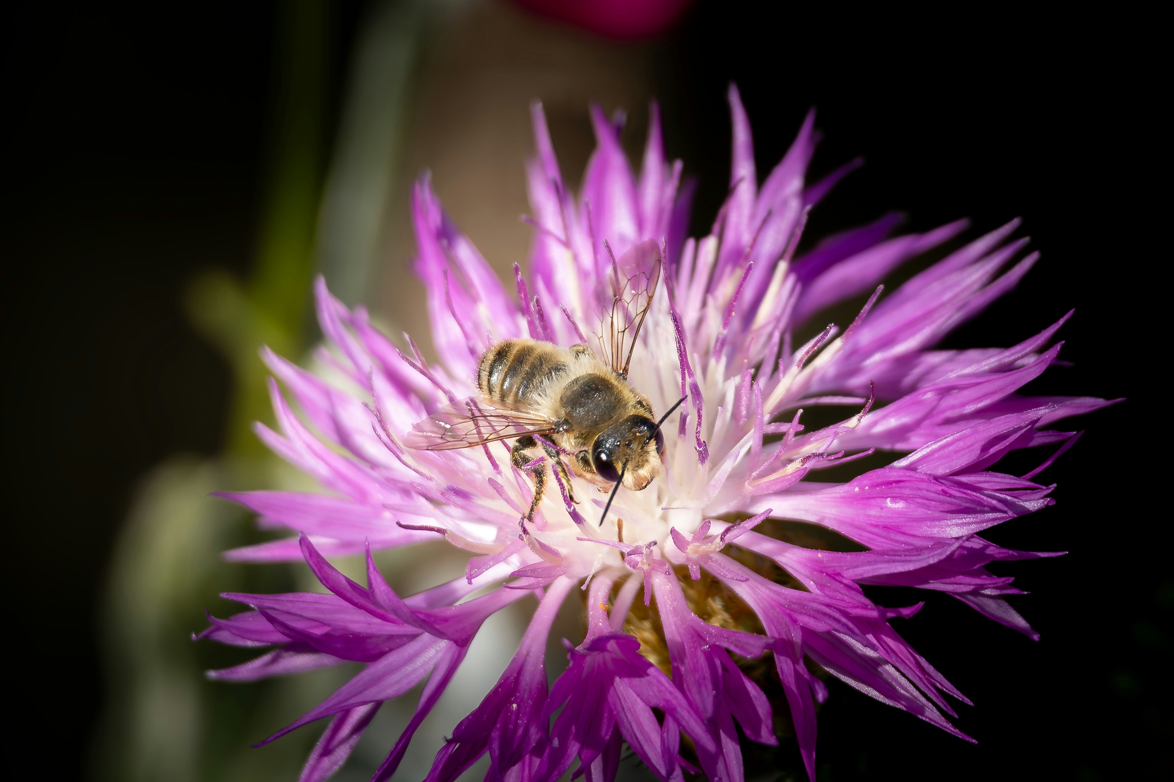 Photo by bildlich_art