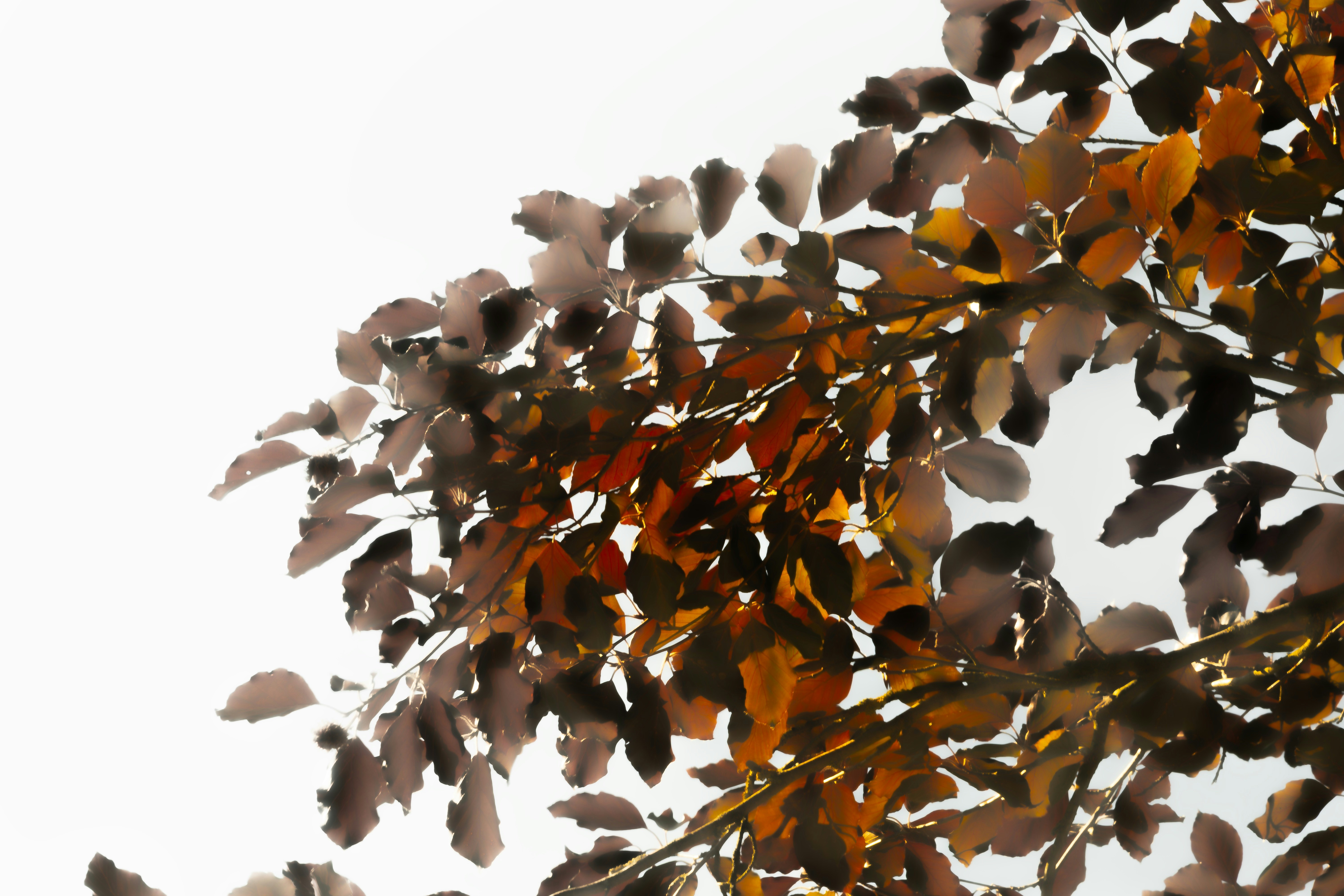 Photo by bildlich_art