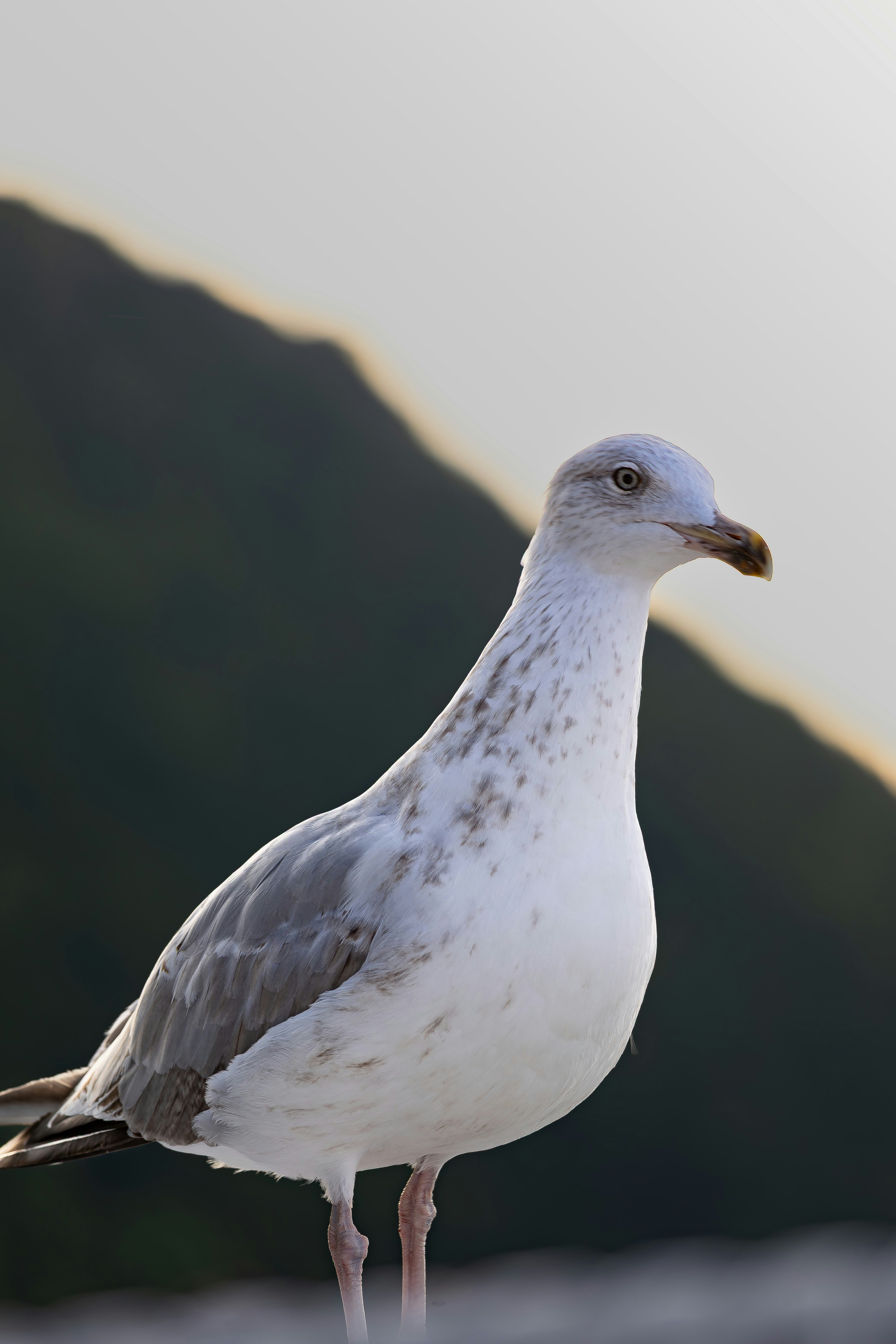 Photo by bildlich_art