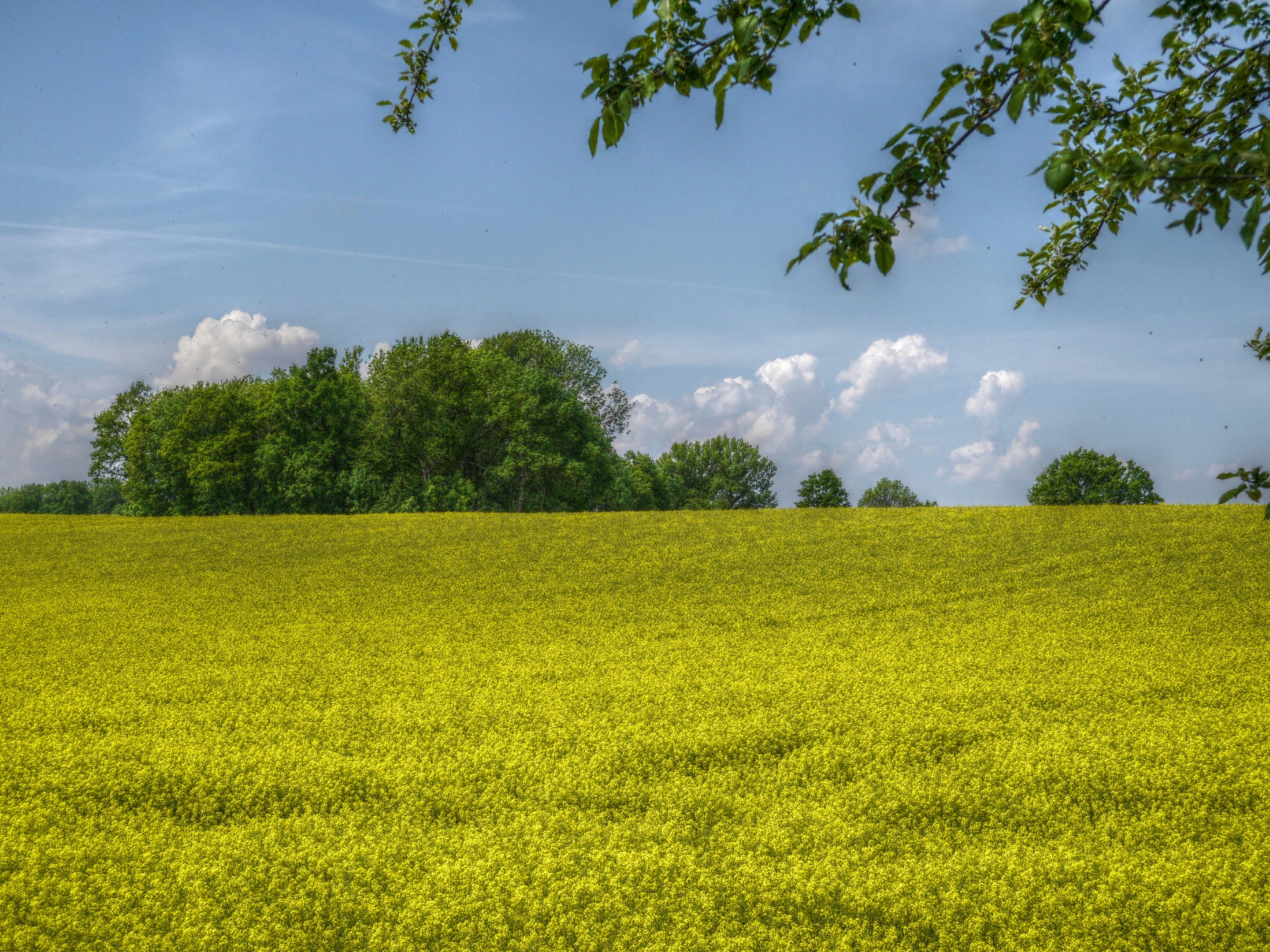 Photo by nikodemus777