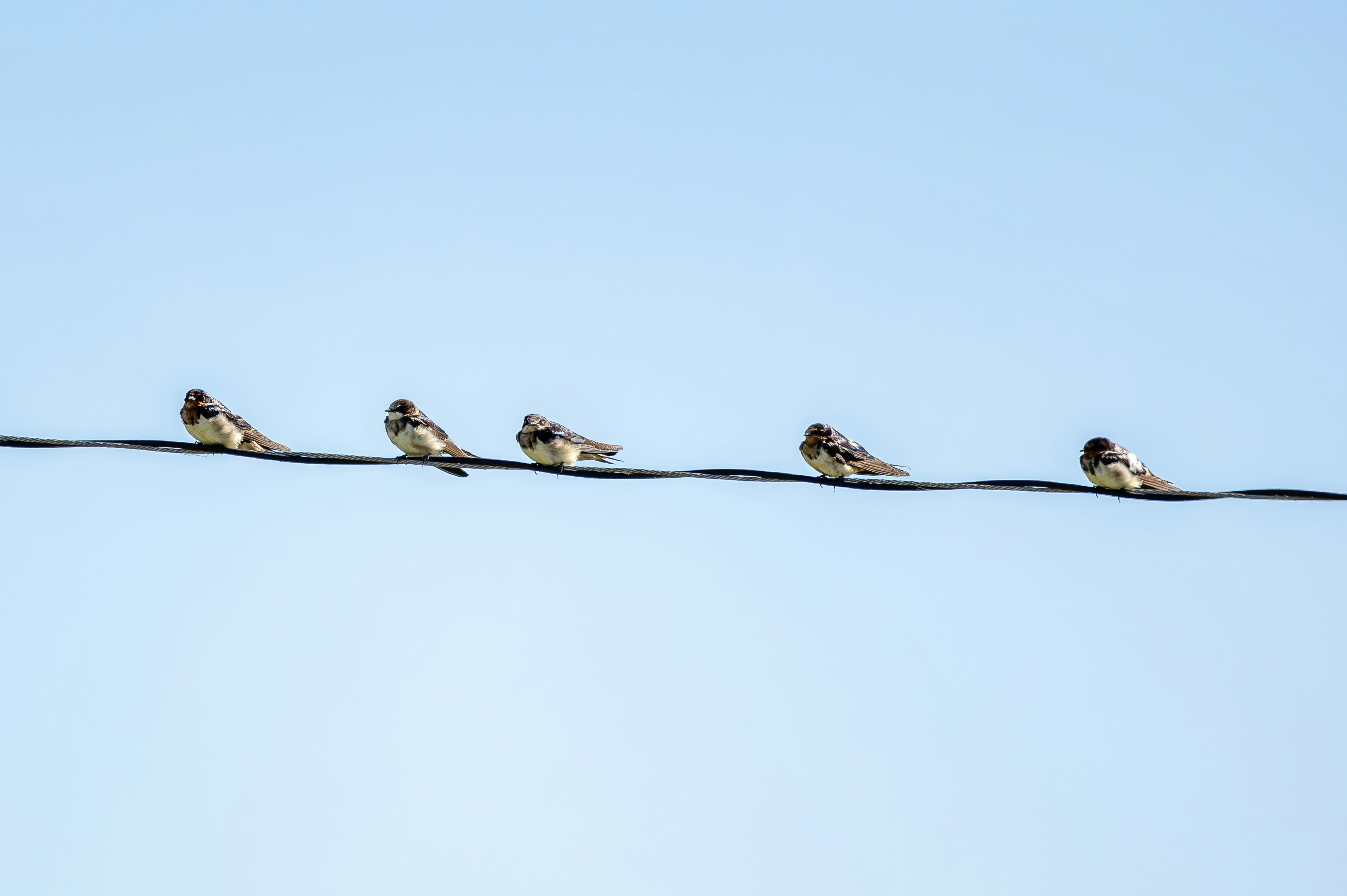 Photo by matheuskprot